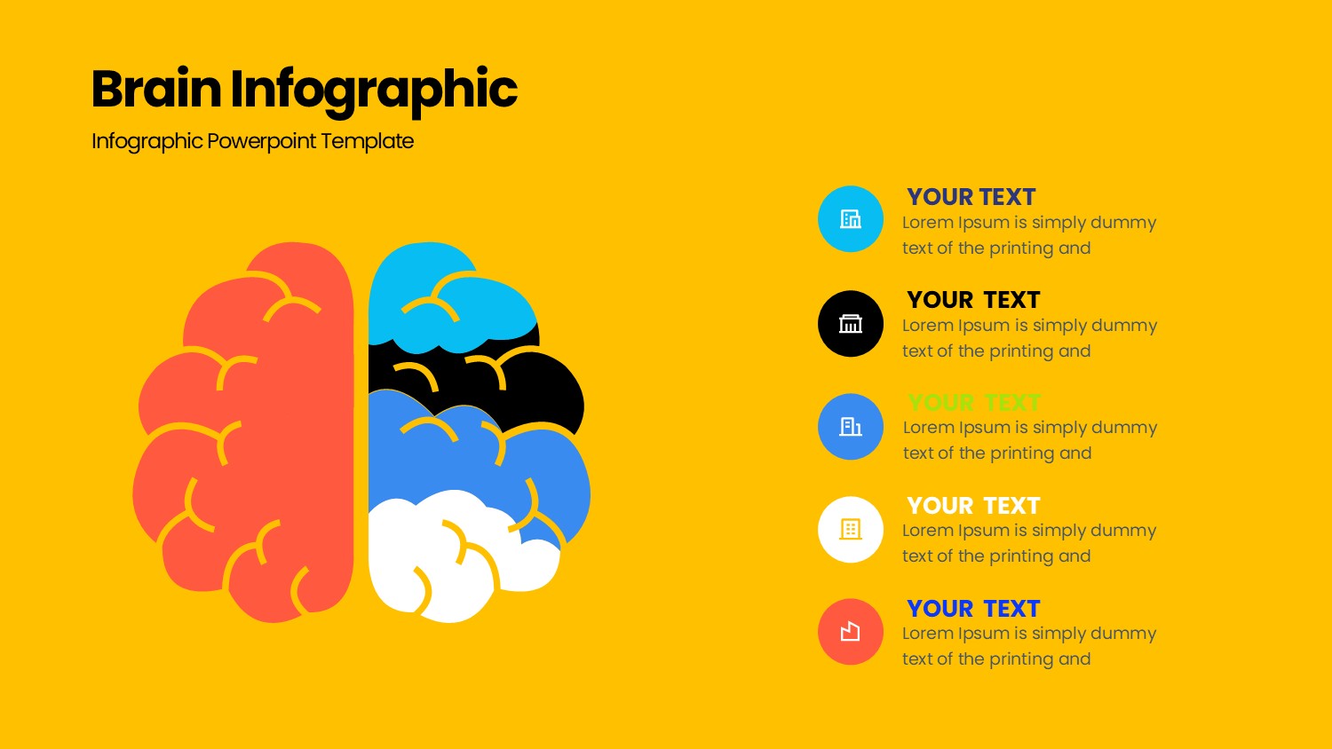 大脑信息图示PPT模板