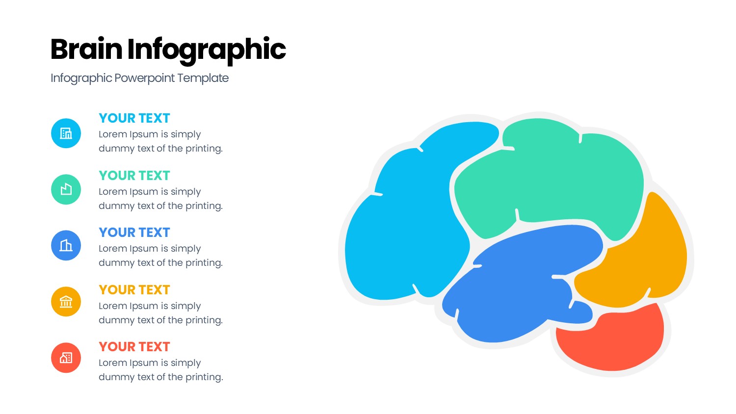 大脑信息图示PPT模板