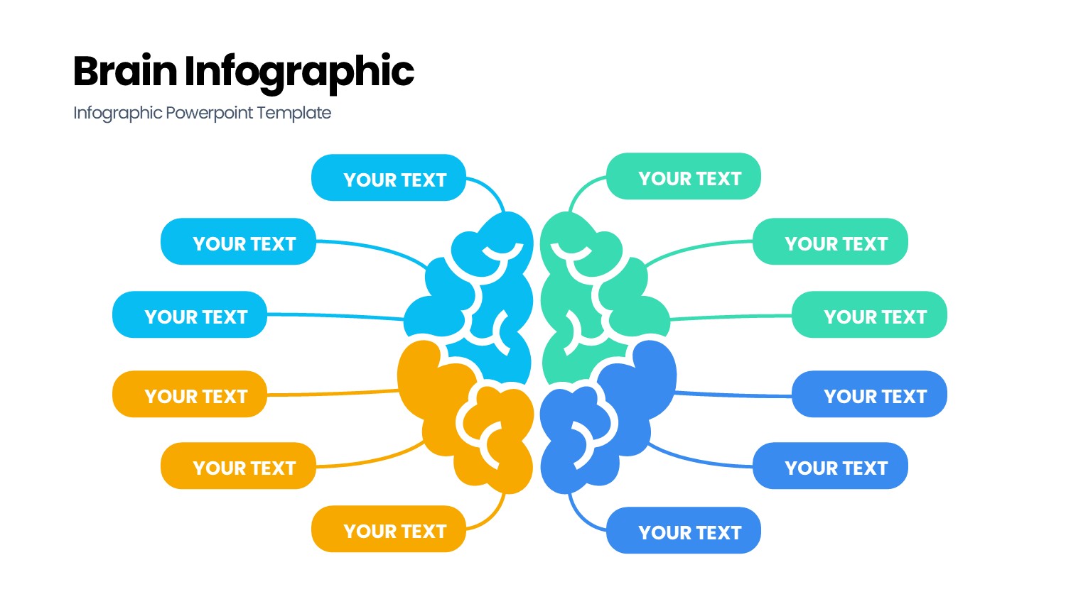 大脑信息图示PPT模板