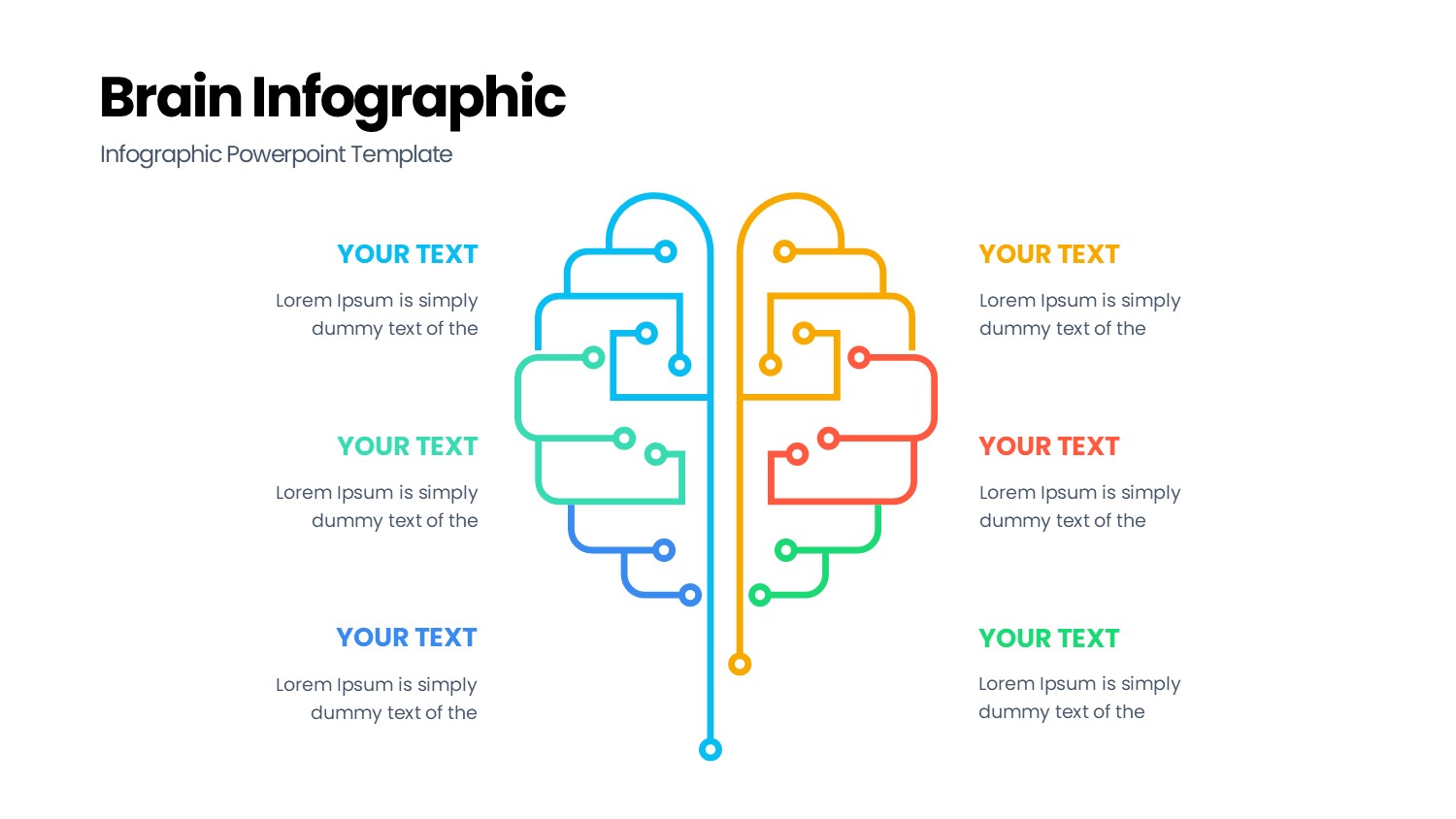 大脑信息图示PPT模板