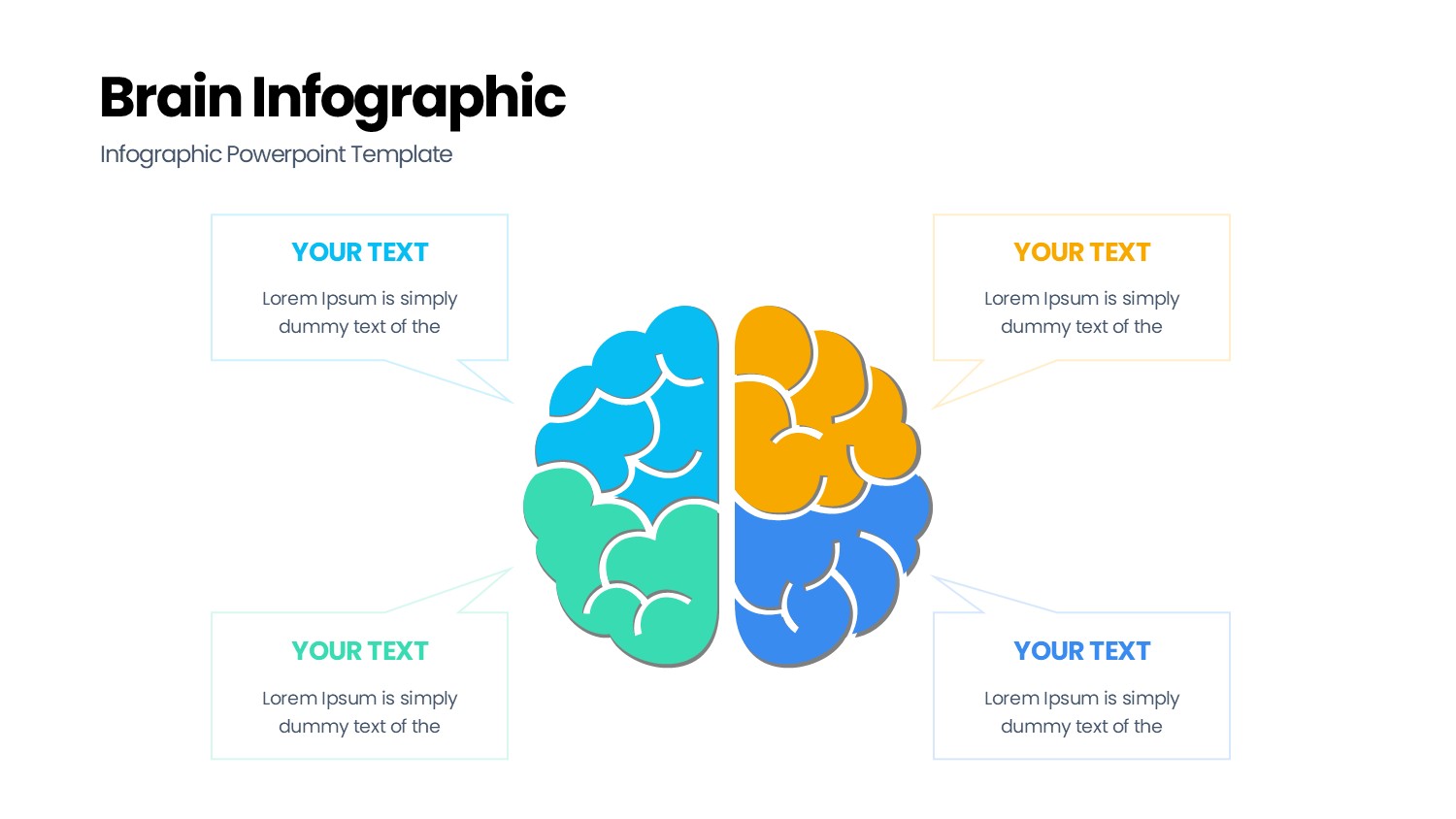 大脑信息图示PPT模板