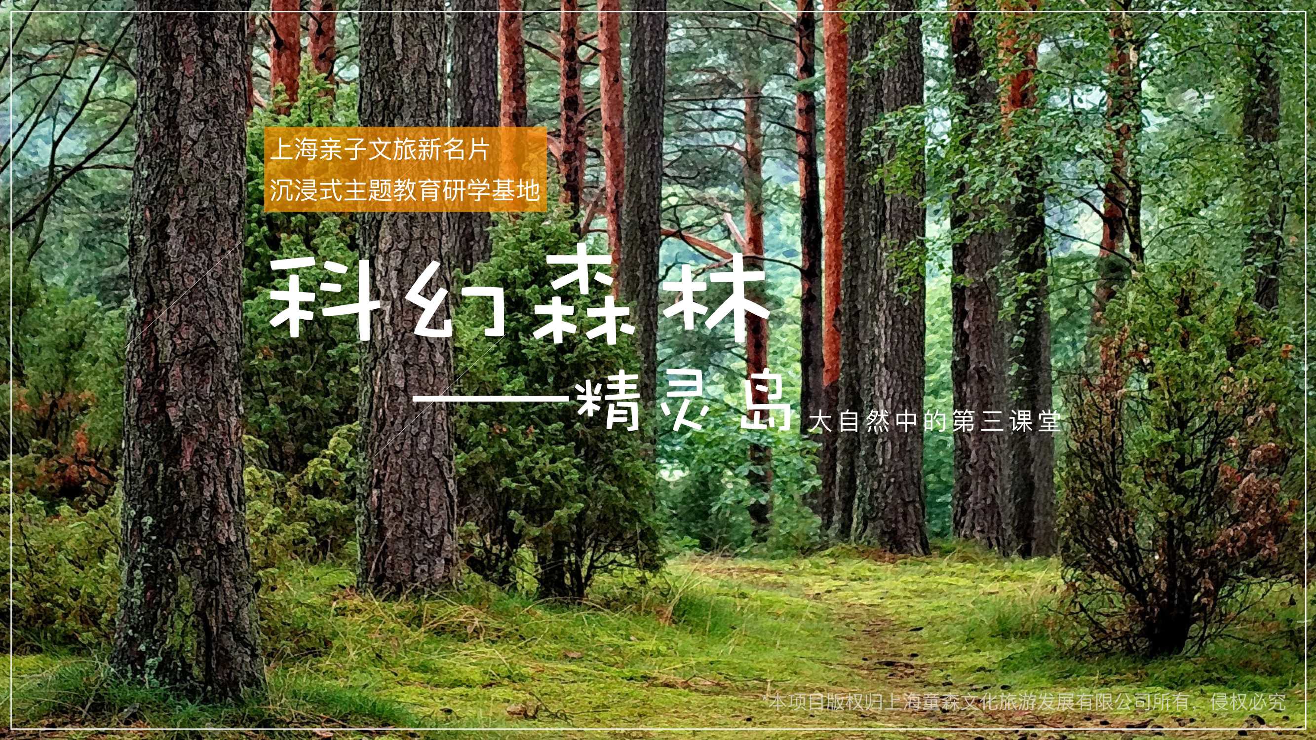 品牌介绍丨沉浸式亲自研学项目上海科幻森林精灵岛.pdf