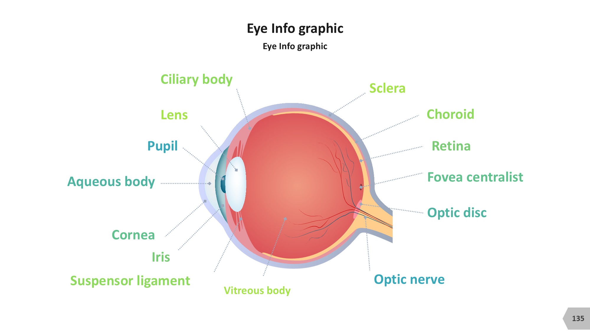 医疗医药图形信息图示PPT模板