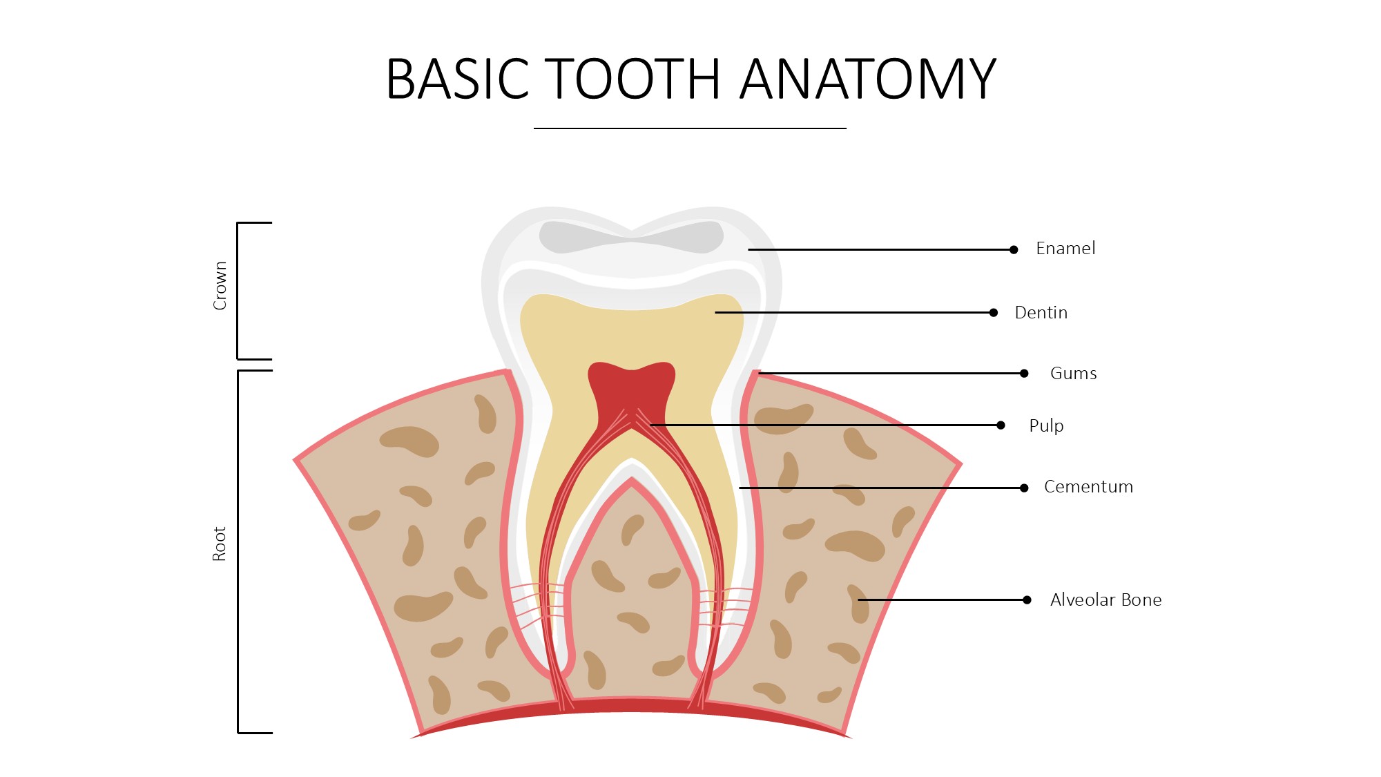医疗医药图形信息图示PPT模板