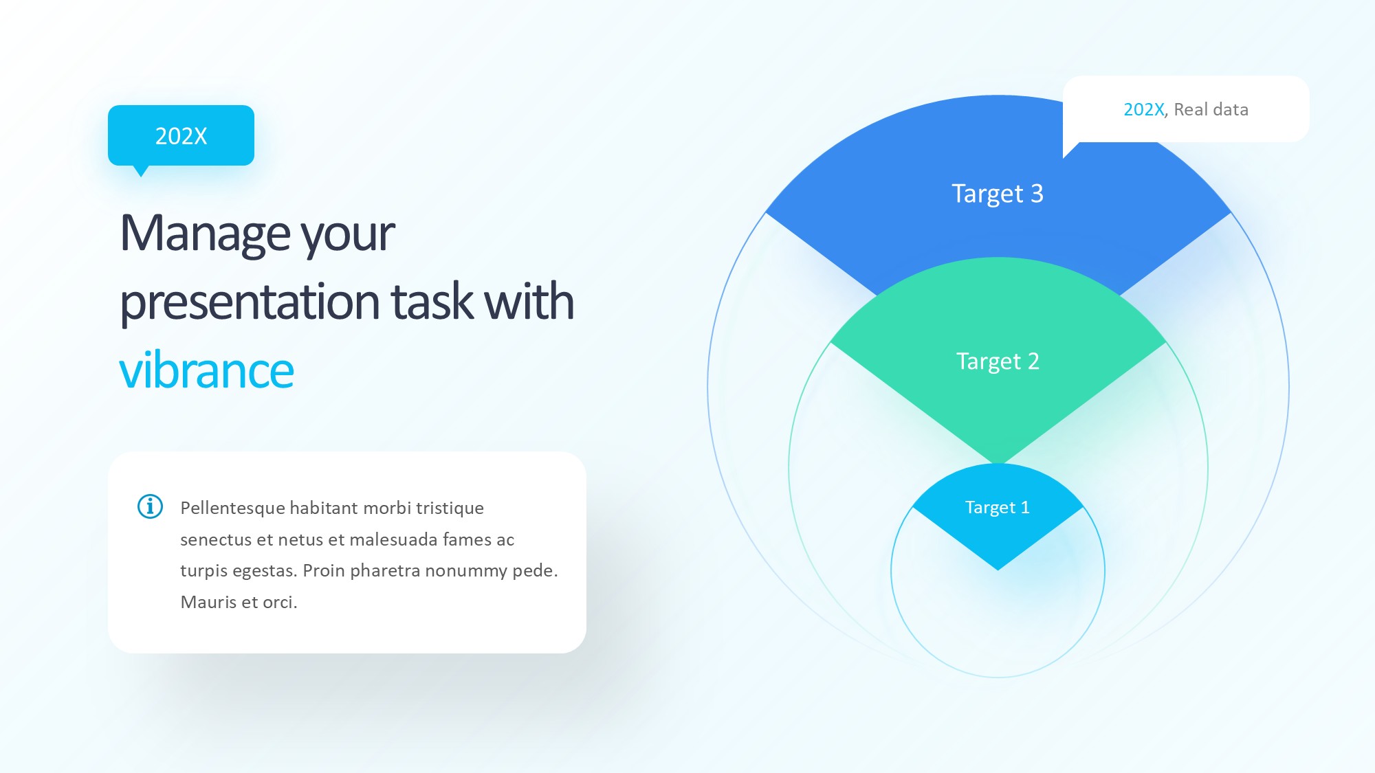 目标图形信息图示PPT模板