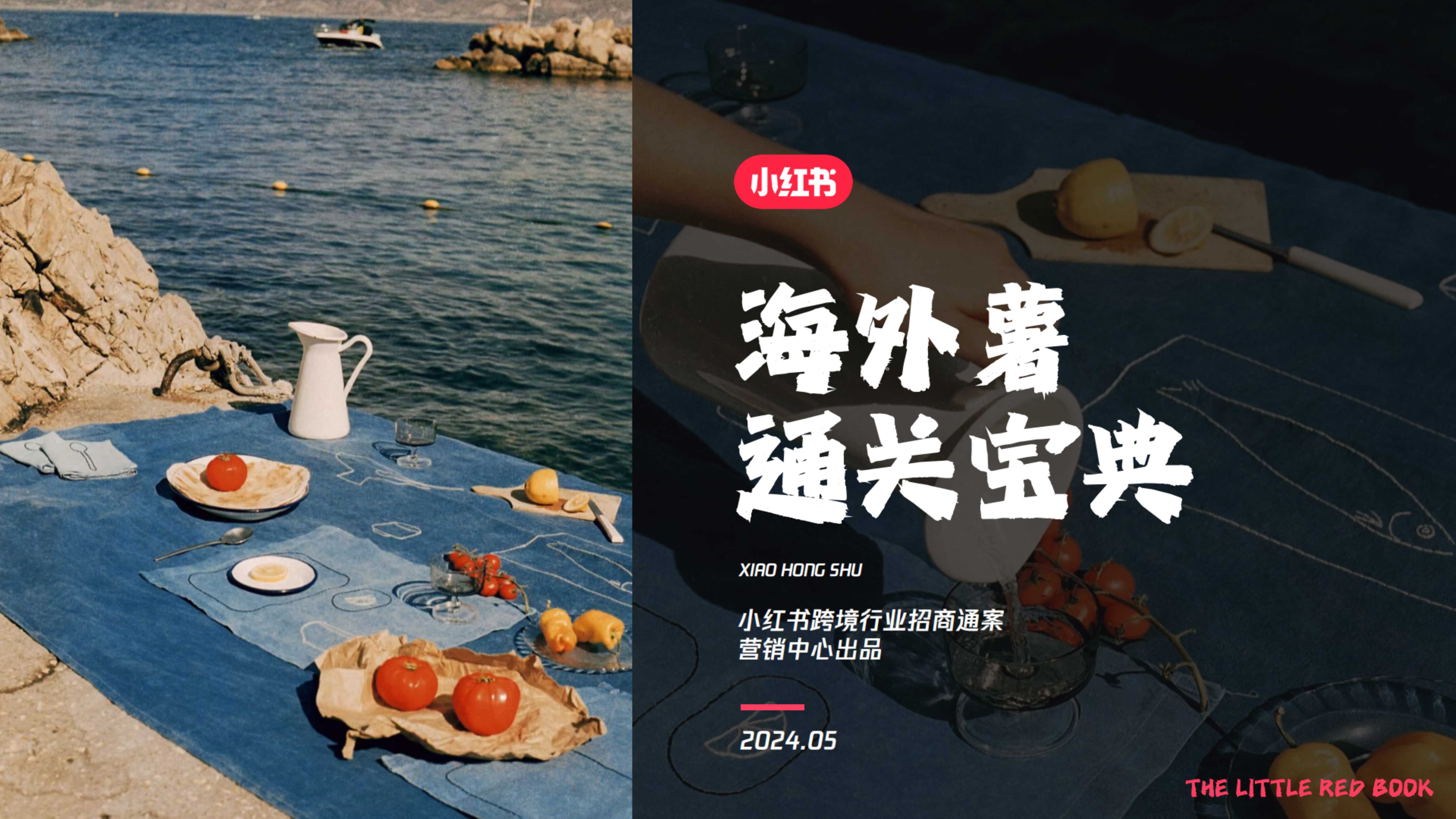 小红书-海外薯通关宝典招商 – 副本.pdf