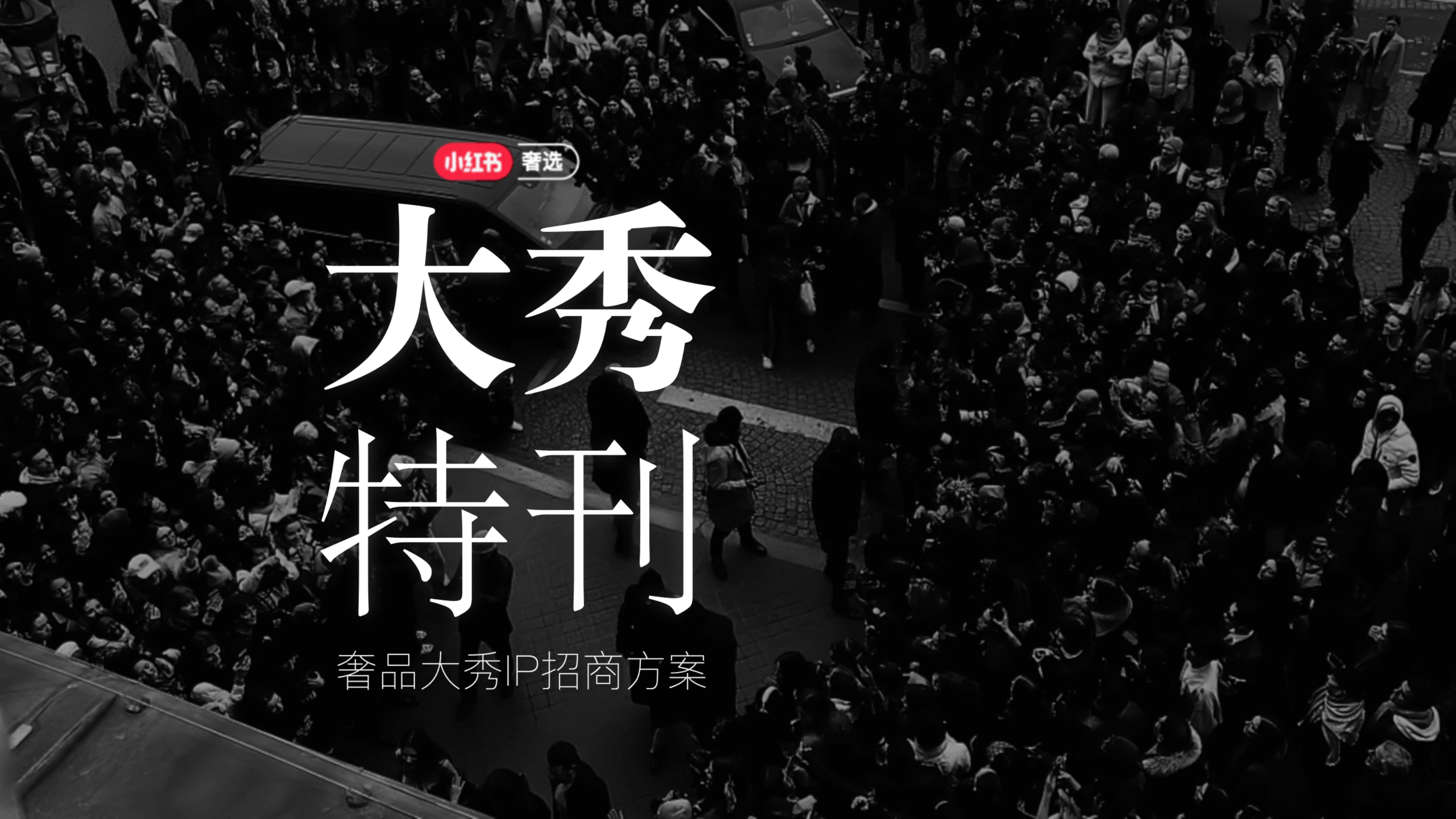 小红书合集-2025大秀特刊奢品IP招商参考.pdf