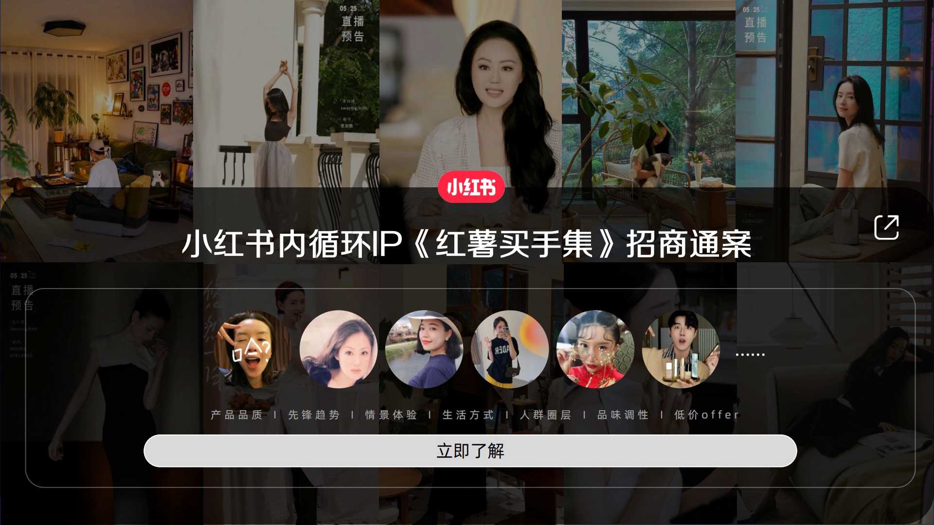 小红书内循环IP《红薯买手集》招商通案.pdf