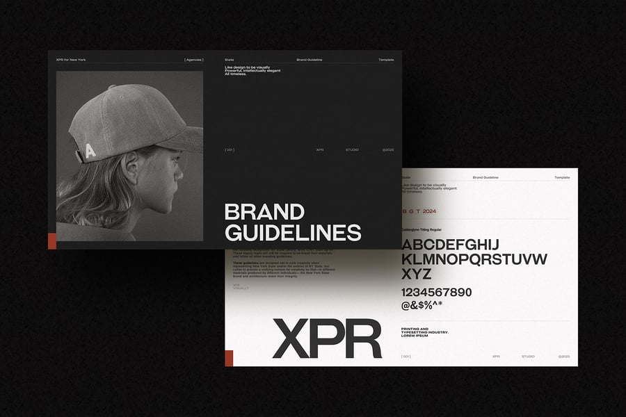 品牌指南模板PPT模板 (PPTX)