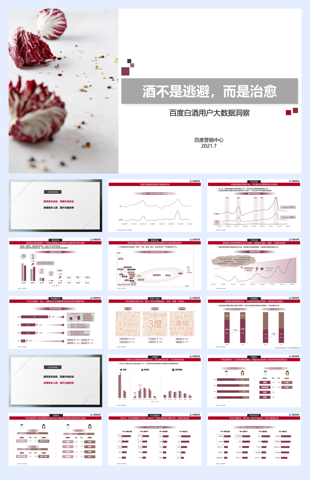 百度-白酒行业数据洞察.pdf