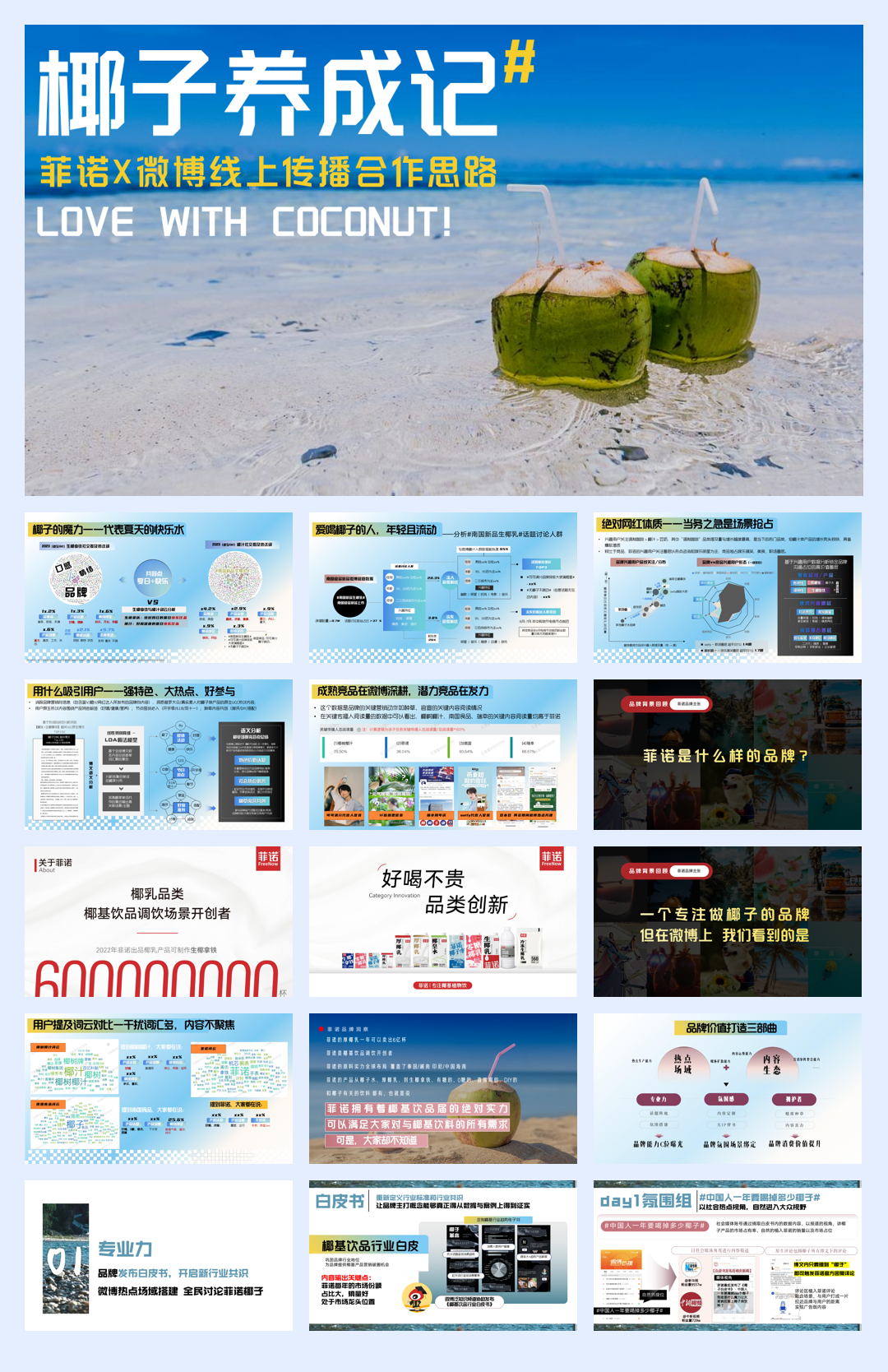 菲诺微博传播.pdf