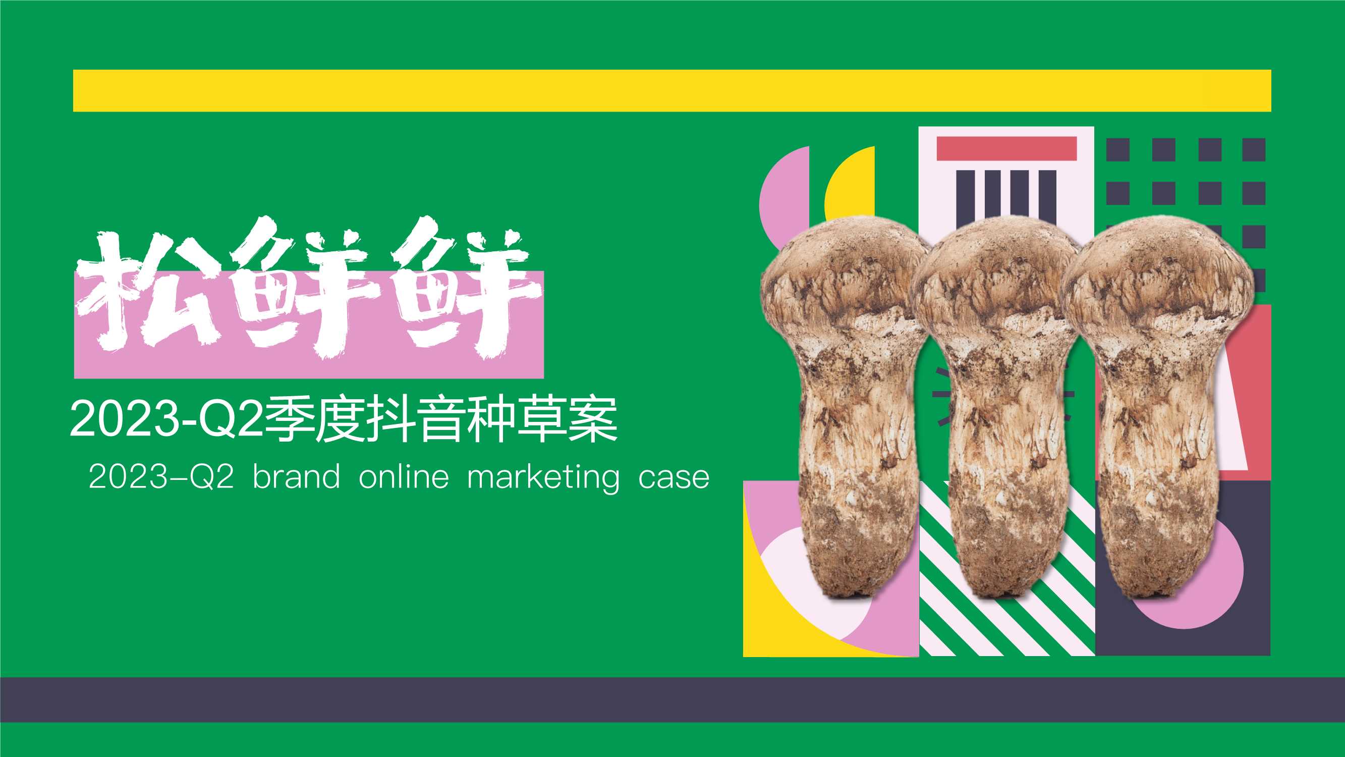 松鲜鲜2023年度第二季度抖音种草方案.pdf