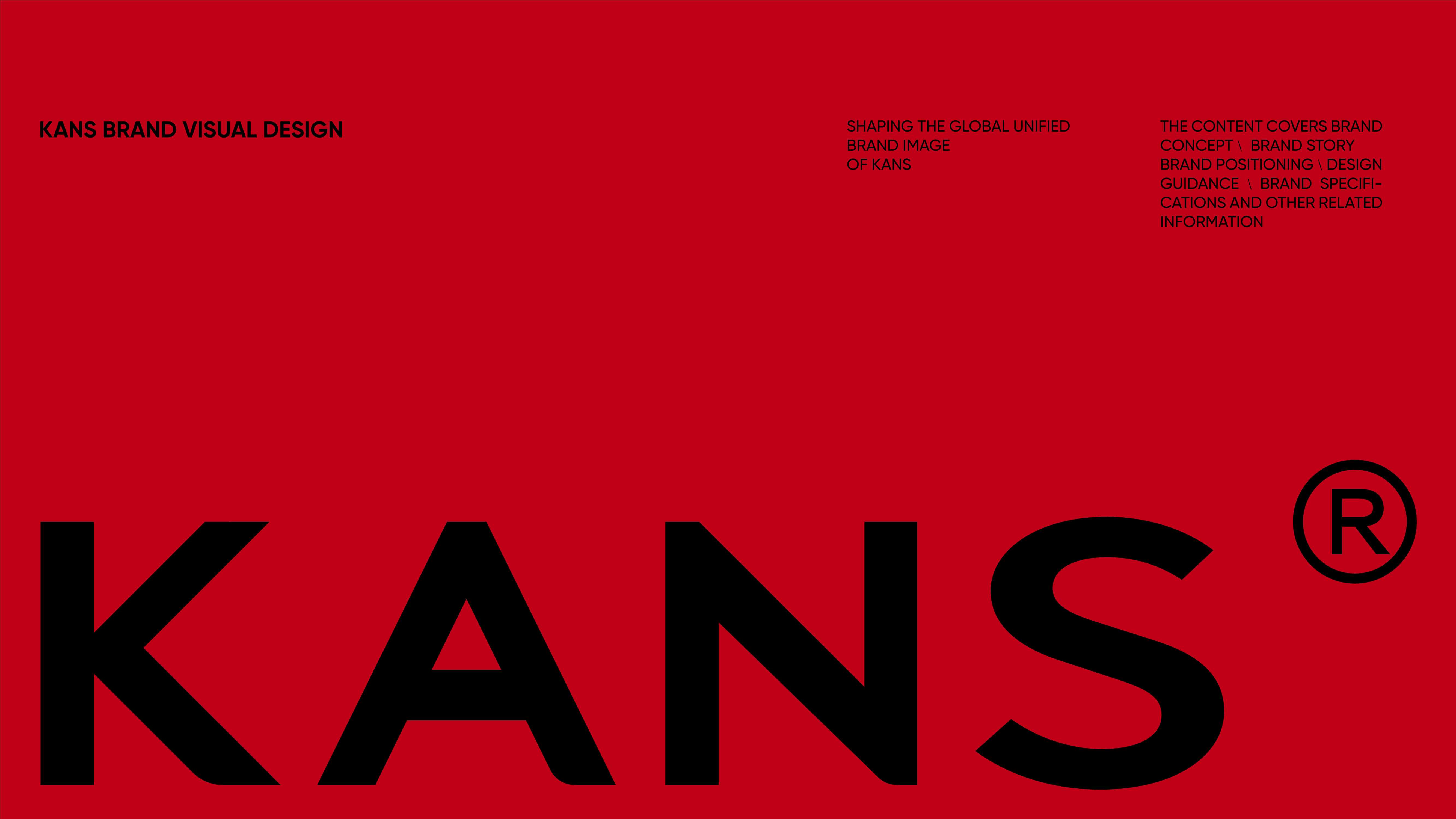 KANS韩束VI手册.pdf