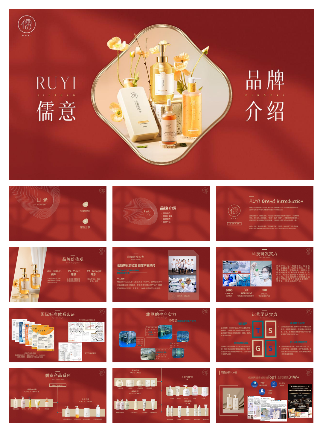 儒意品牌介绍.pdf