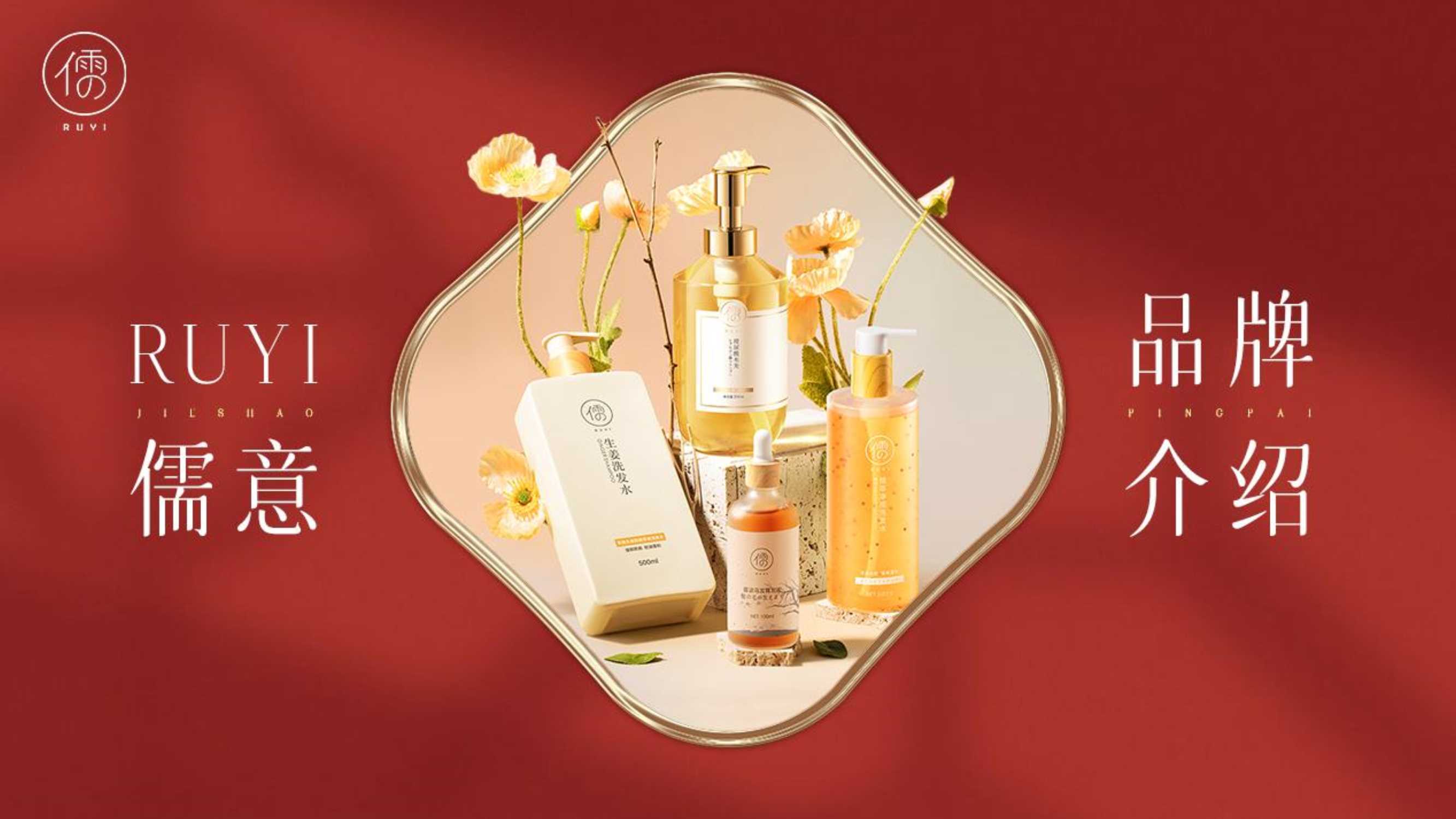 儒意品牌介绍.pdf