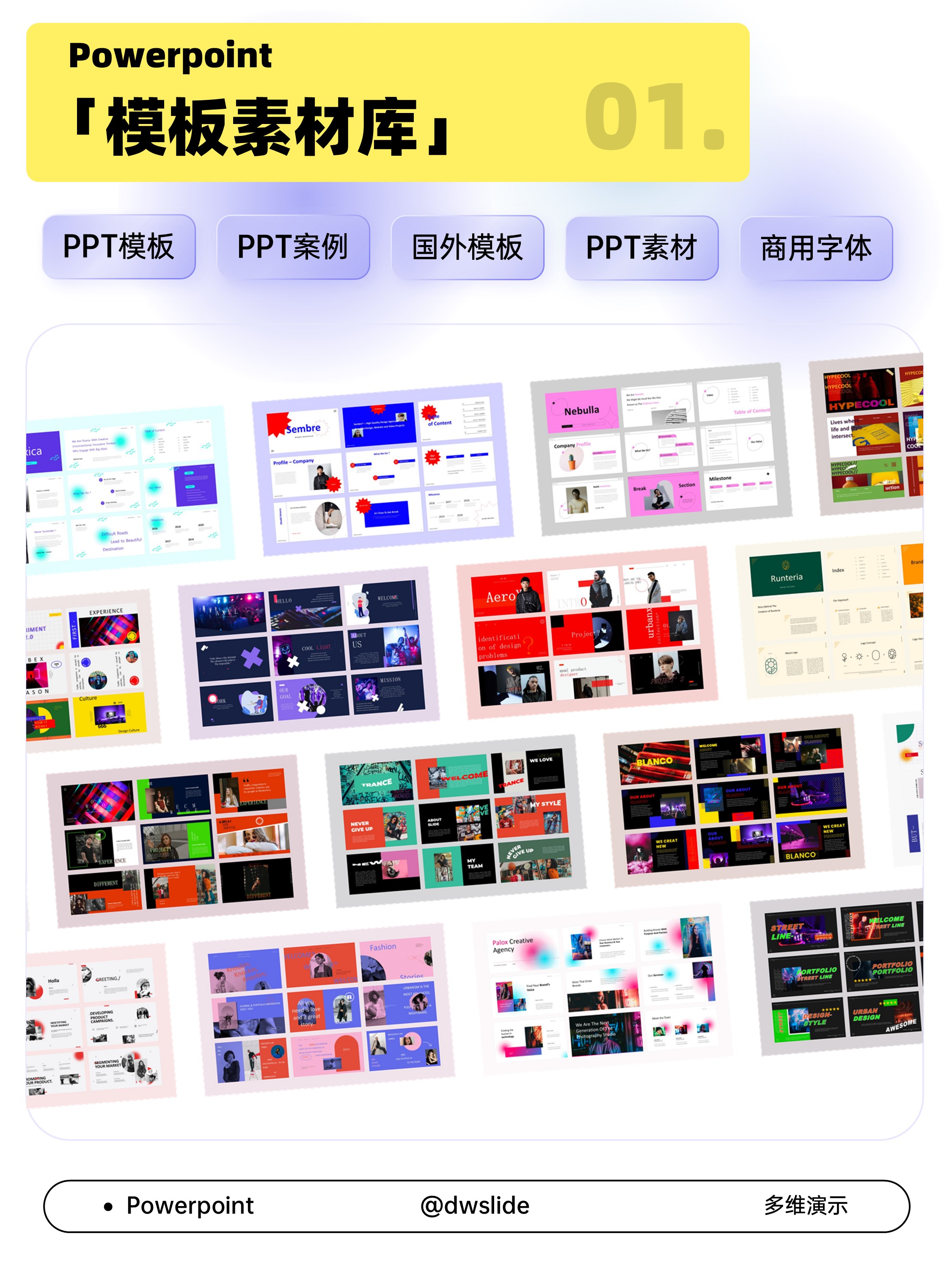 演示VIP高级会员