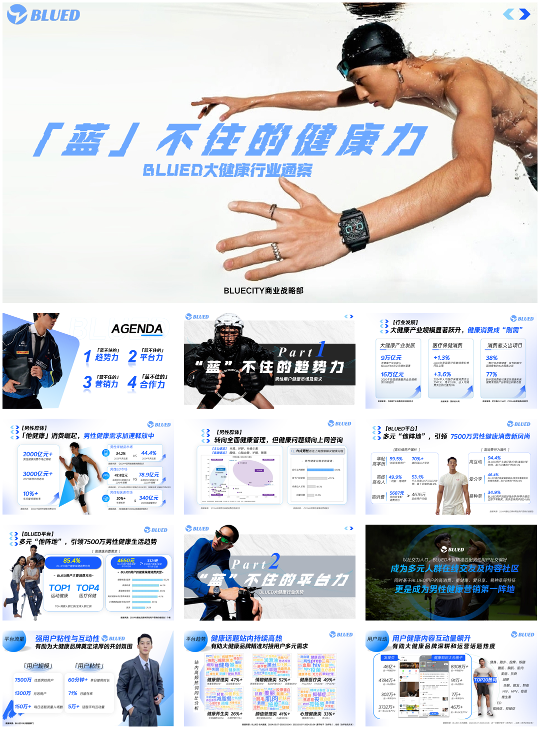 BLUED大健康行业营销通案.pdf