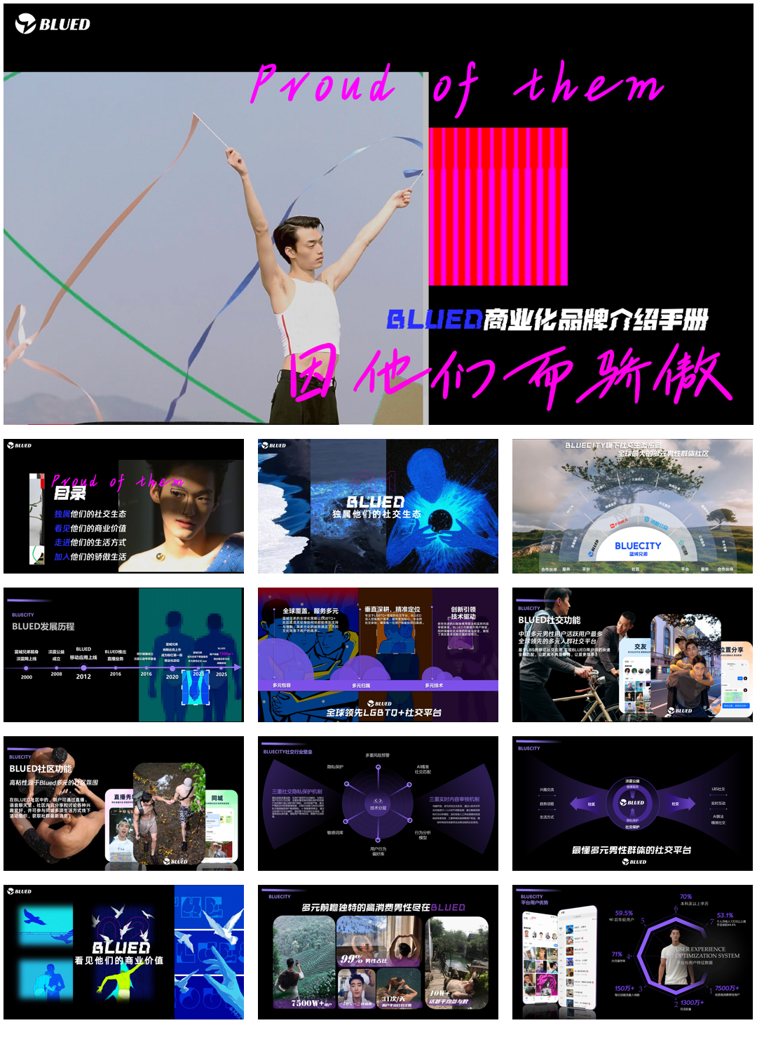 BLUED商业化介绍.pdf