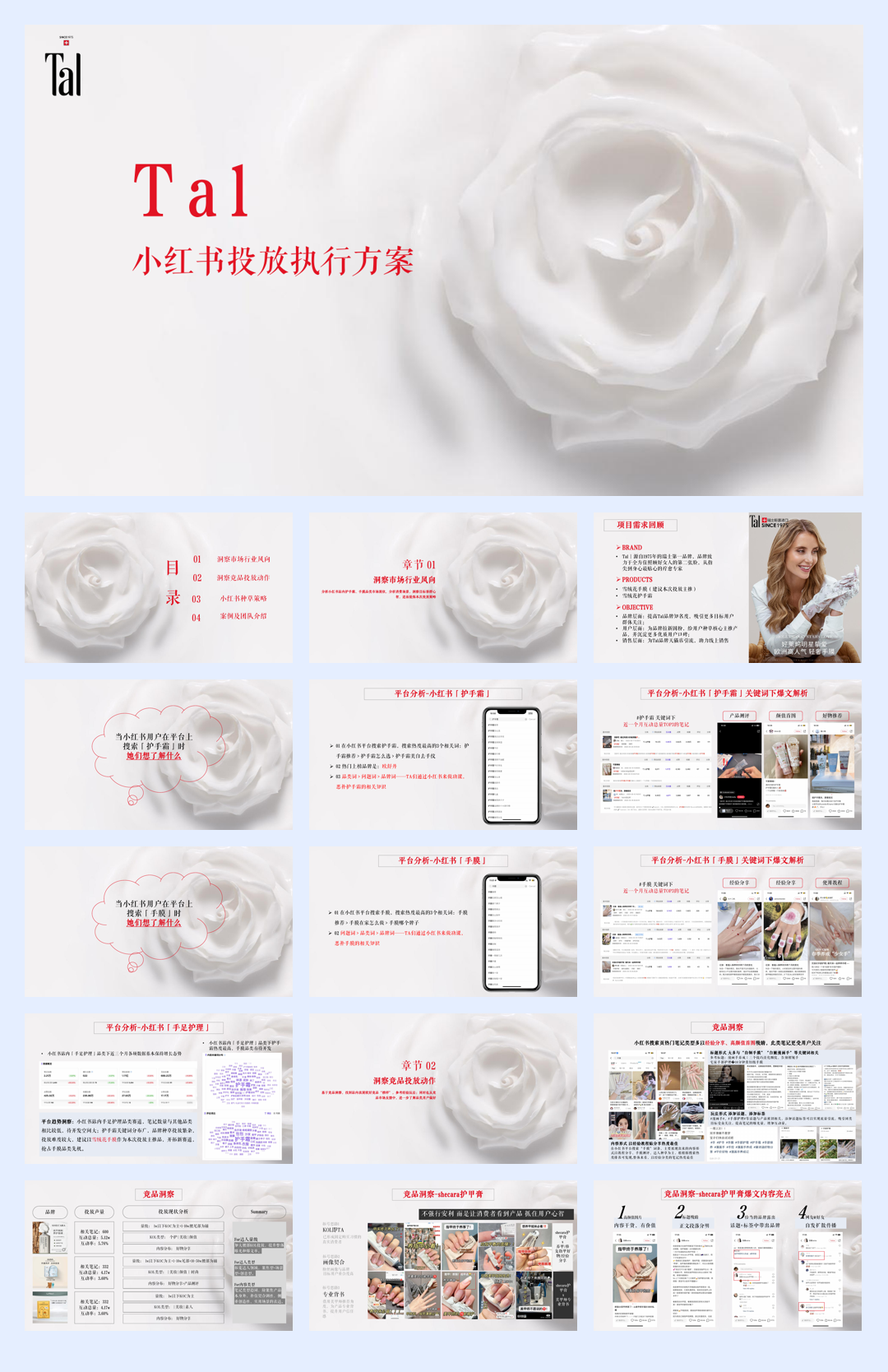 Tal小红书种草执行方案.pdf