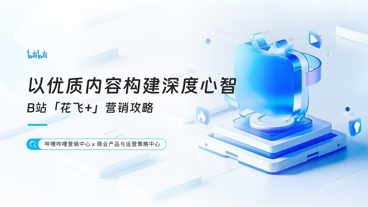 花飞+营销攻略.pdf