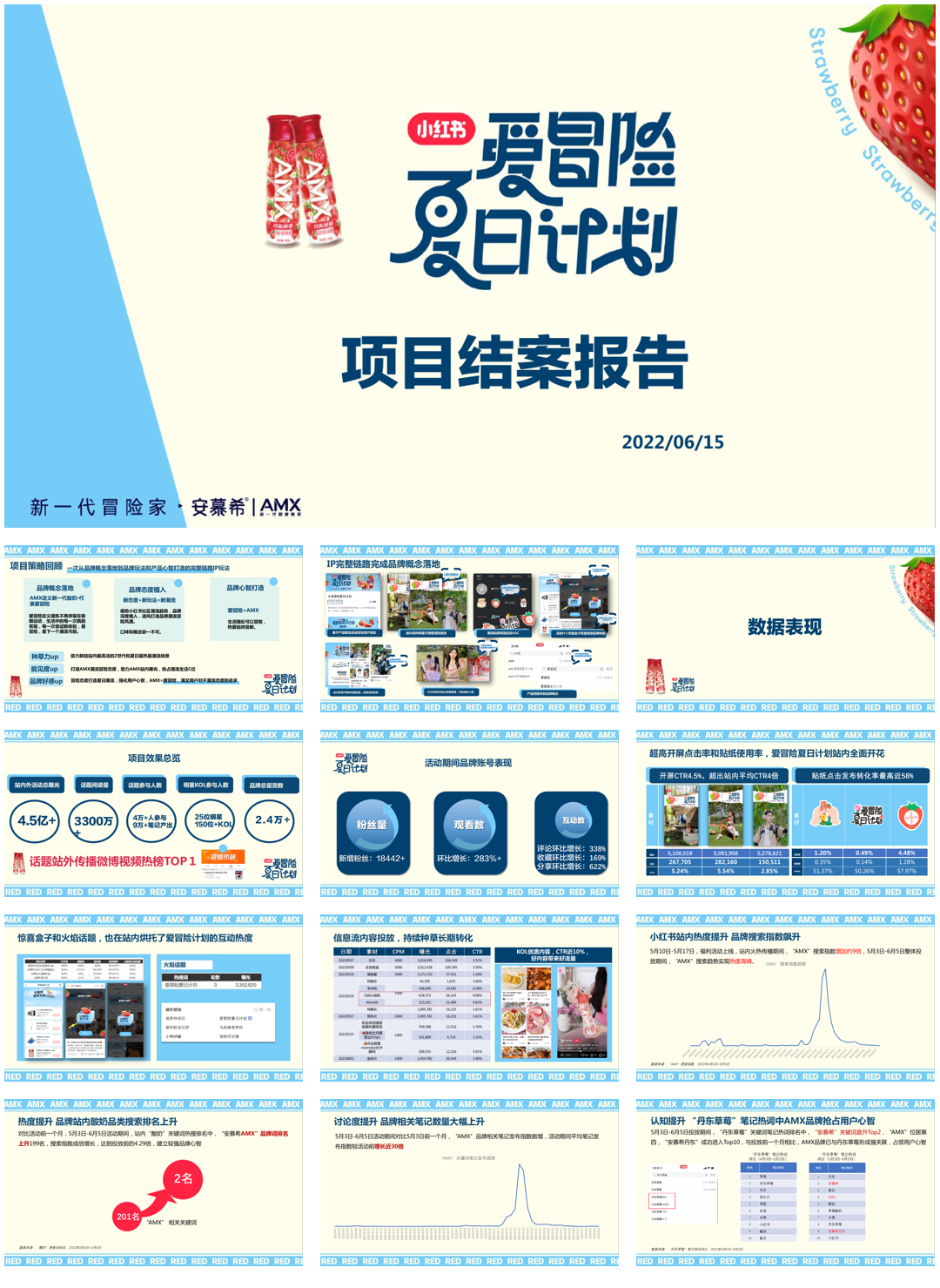 安慕希X小红书爱冒险夏日计划结案报告.pdf