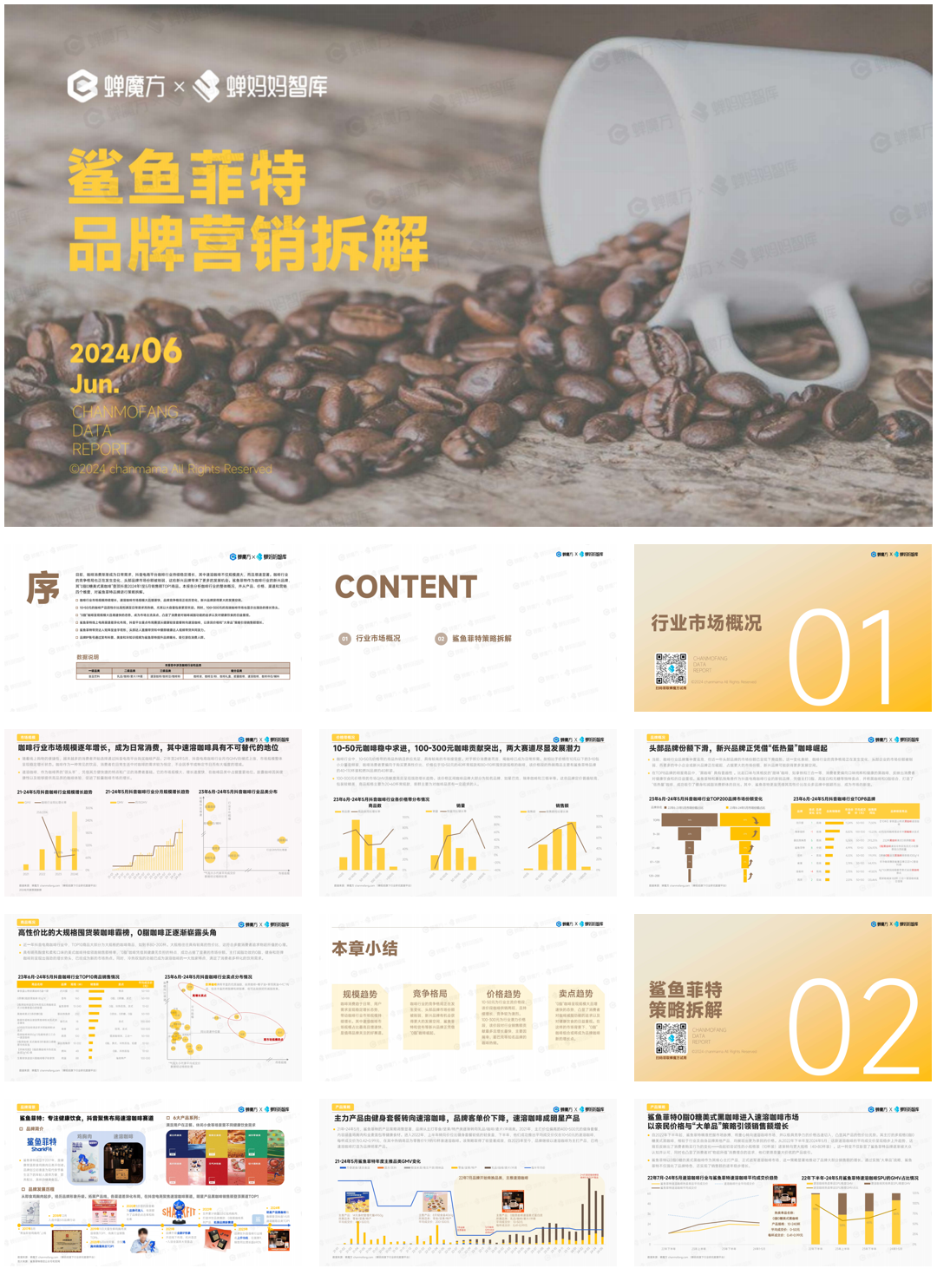 蝉妈妈:2024鲨鱼菲特品牌营销拆解报告.pdf