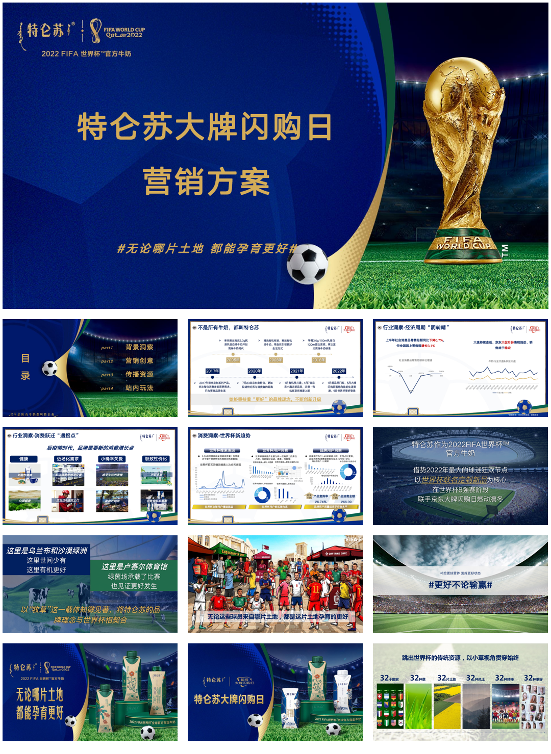 特仑苏大牌闪购日营销方案.pdf