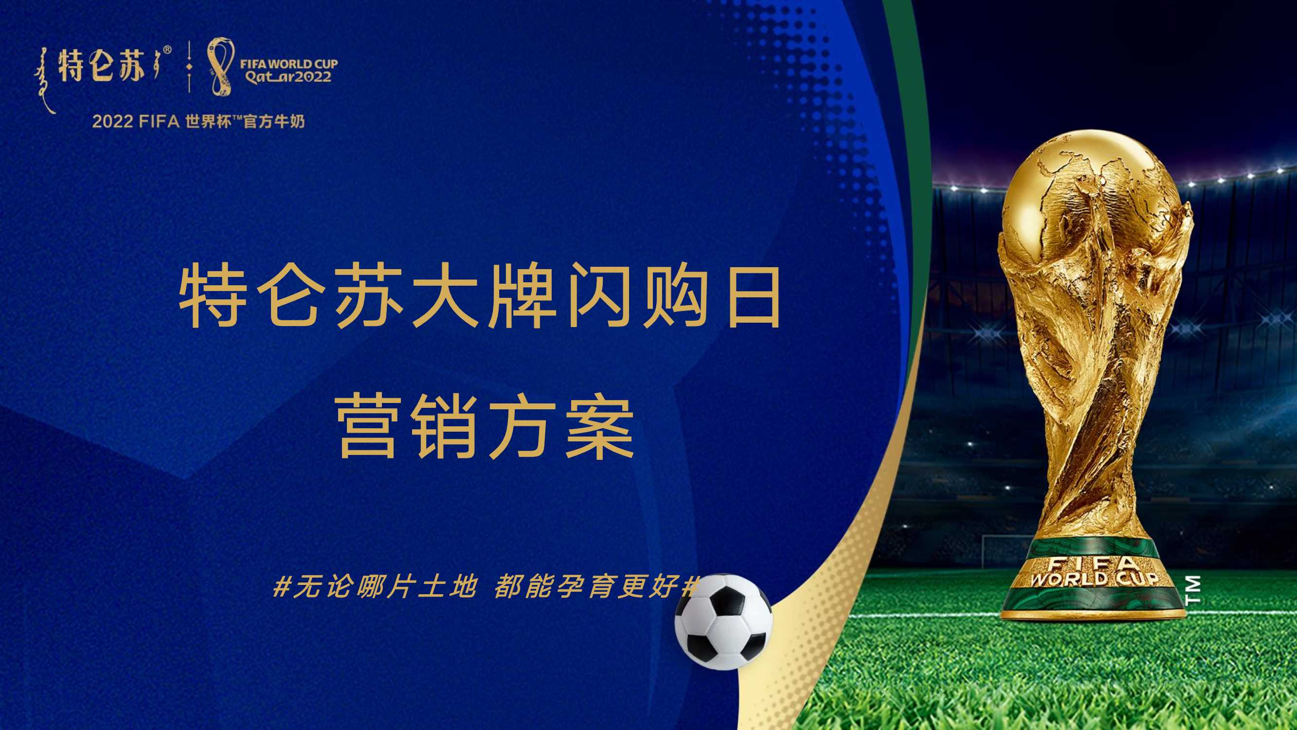 特仑苏大牌闪购日营销方案.pdf