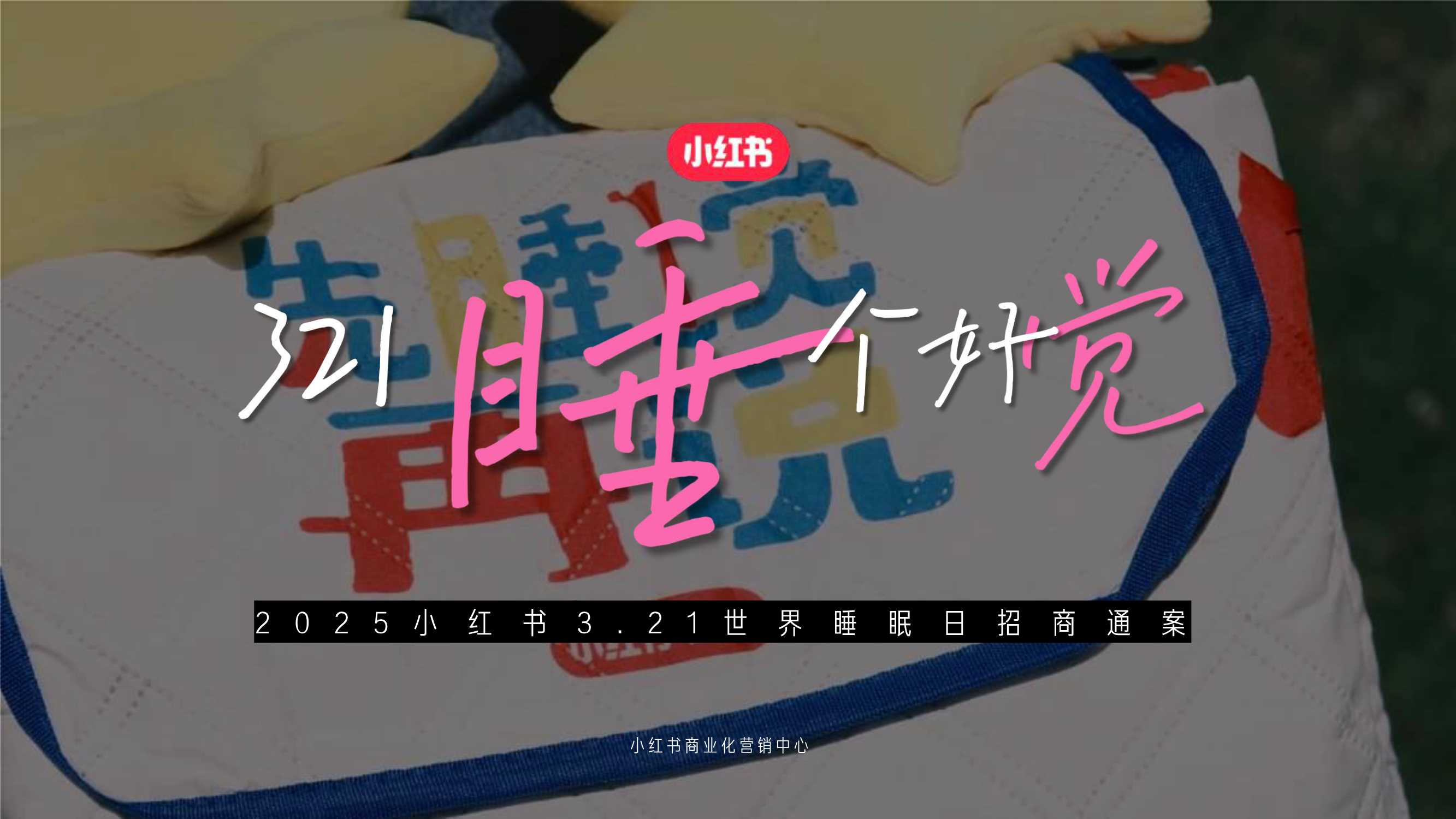 2025小红书3.21世界睡眠日招商通案-27页.pdf