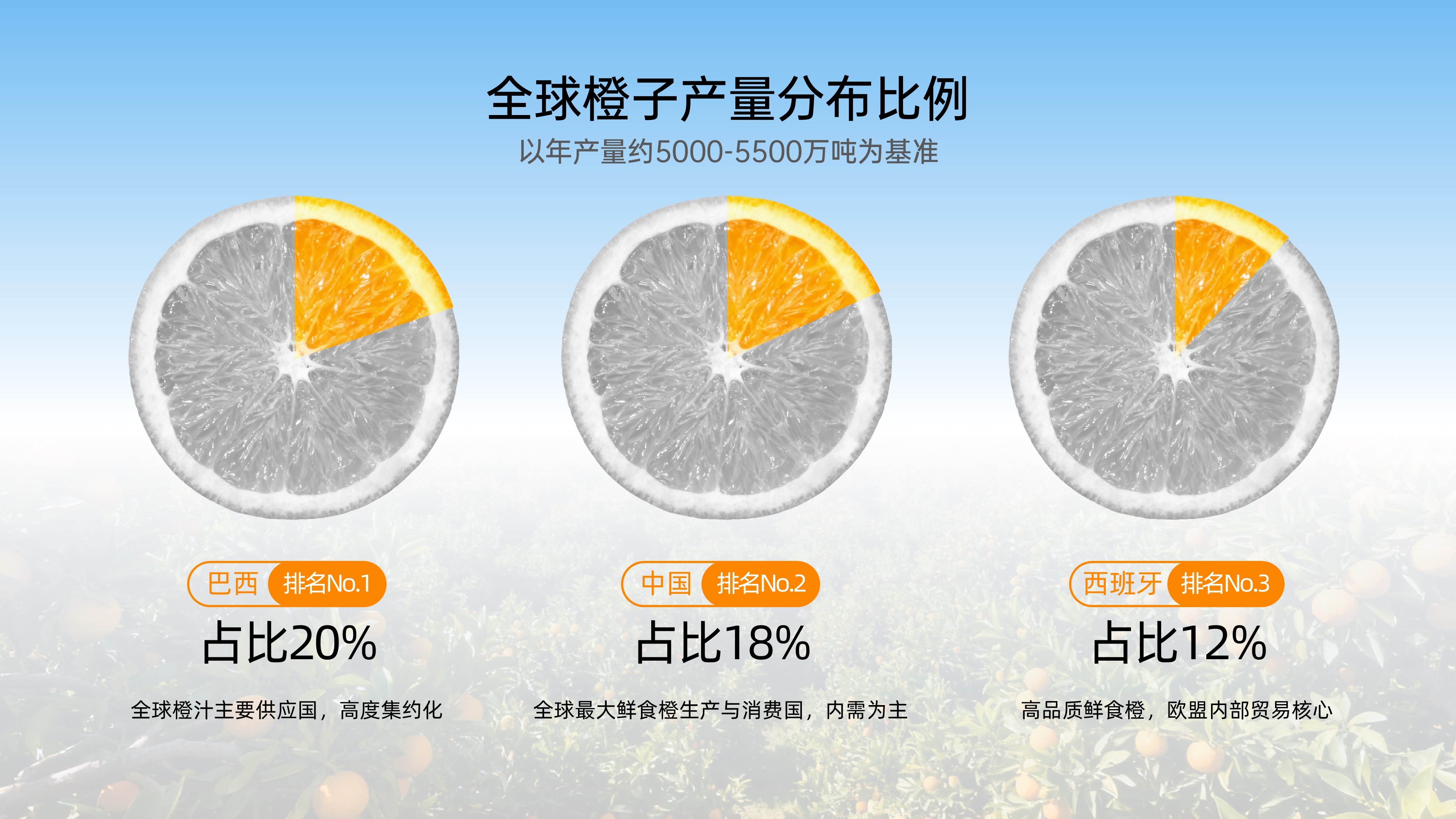 全球橙子产量分布比例PPT图表