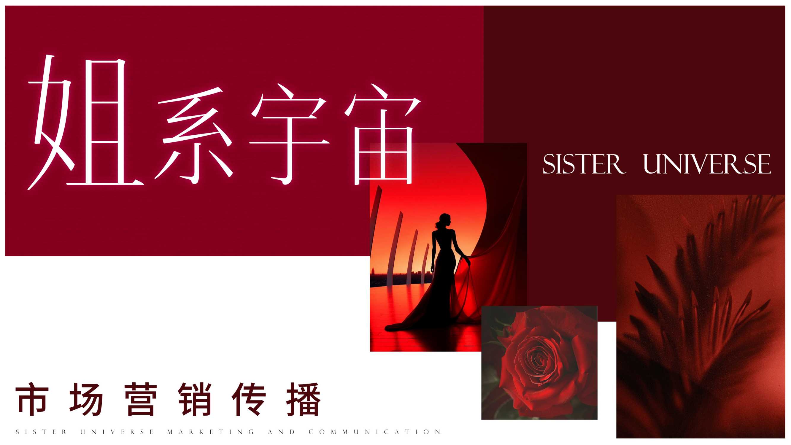 抖音【行业IP】内容直播综艺《姐系宇宙》招商方案.pdf