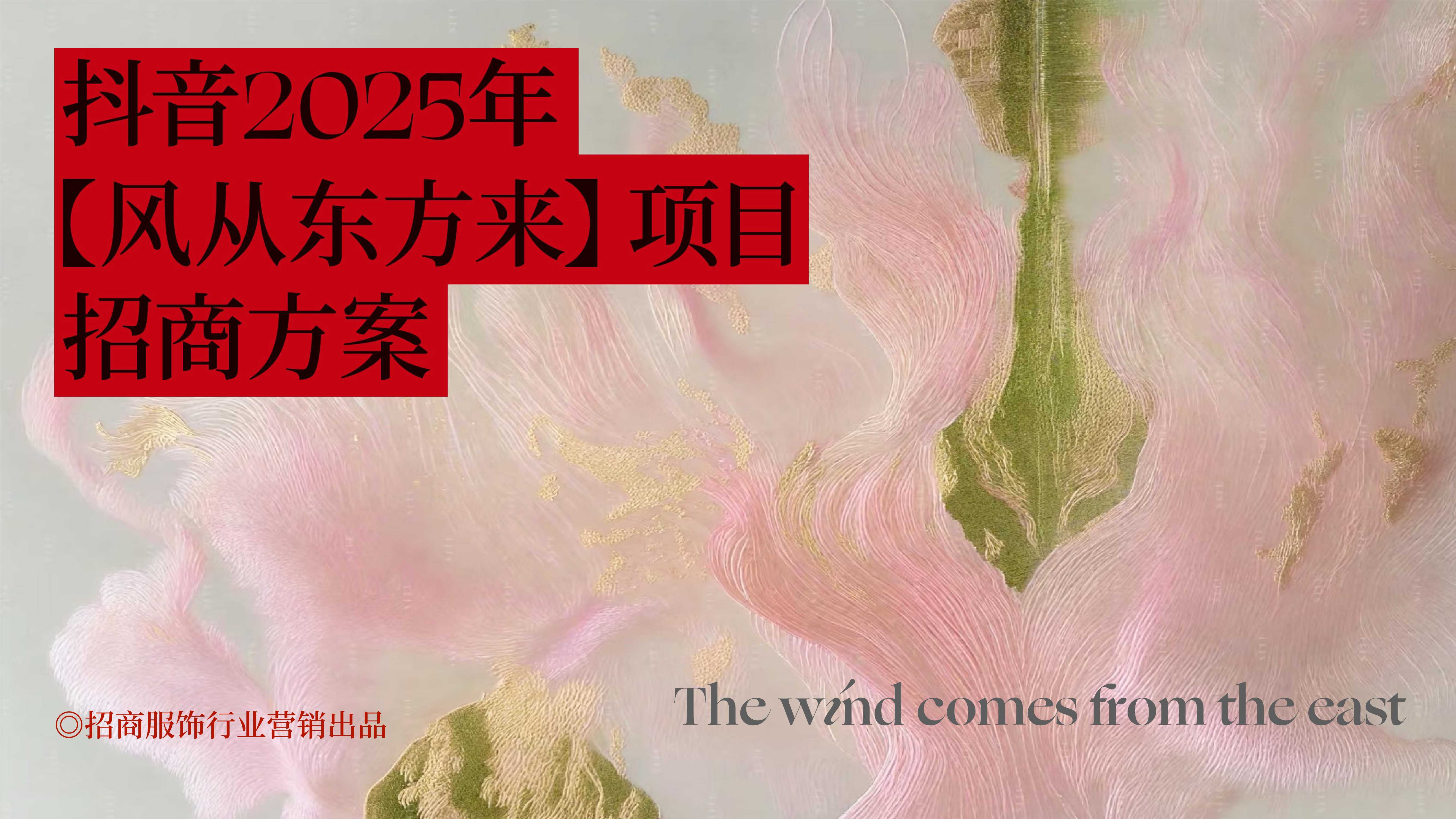 抖音2025年风从东方来项目招商方案.pdf
