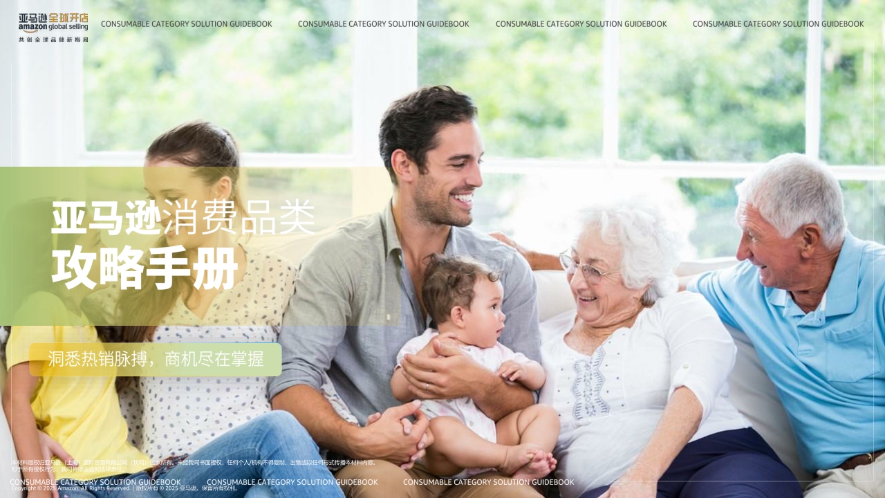 2025年亚马逊消费品类攻略手册-亚马逊全球开店-2025-73页