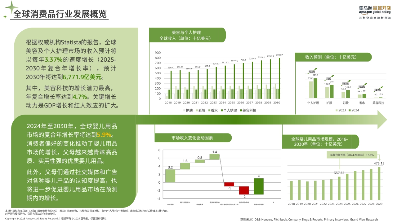 2025年亚马逊消费品类攻略手册-亚马逊全球开店-2025-73页