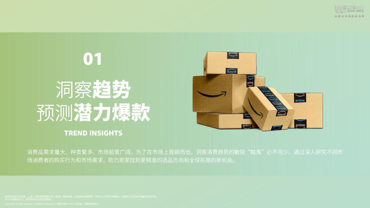 2025年亚马逊消费品类攻略手册-亚马逊全球开店-2025-73页