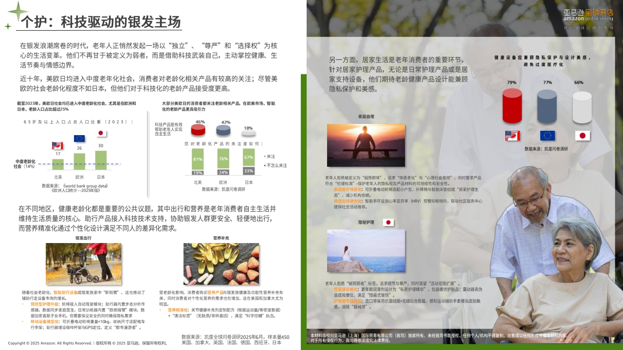 2025年亚马逊消费品类攻略手册-亚马逊全球开店-2025-73页