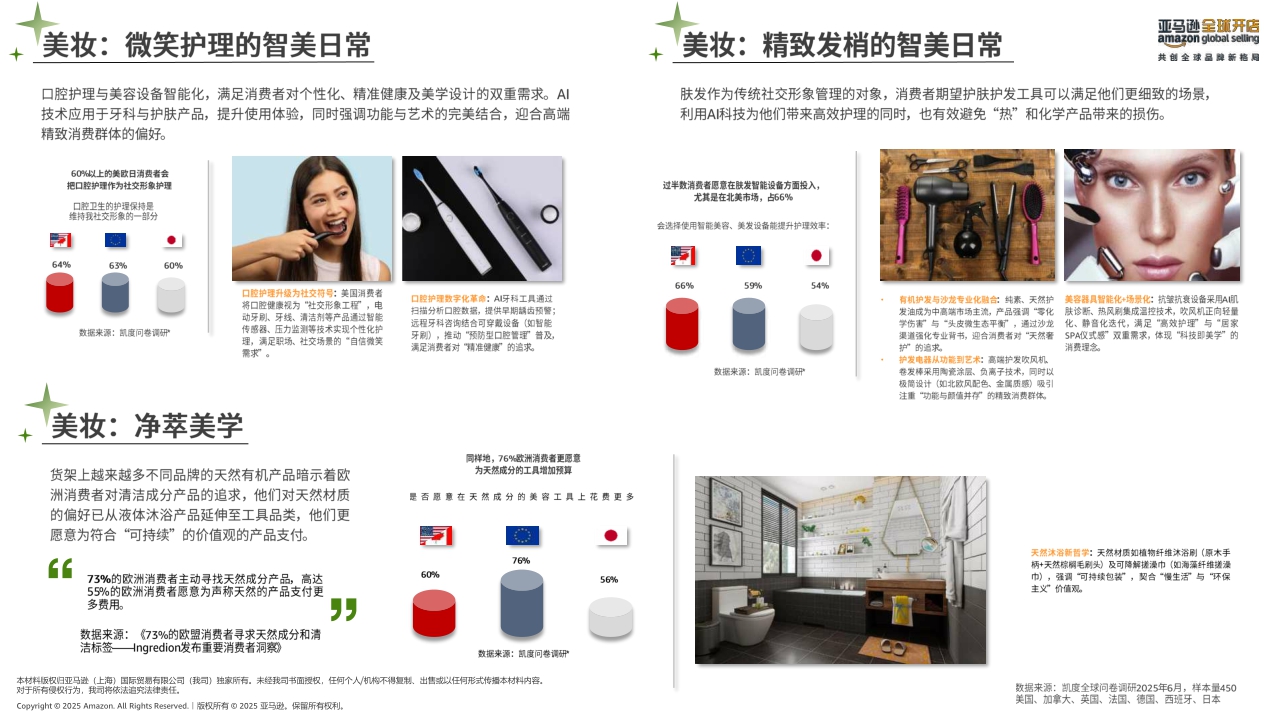 2025年亚马逊消费品类攻略手册-亚马逊全球开店-2025-73页