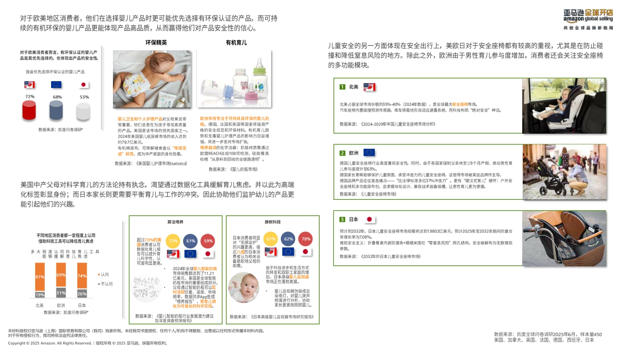 2025年亚马逊消费品类攻略手册-亚马逊全球开店-2025-73页