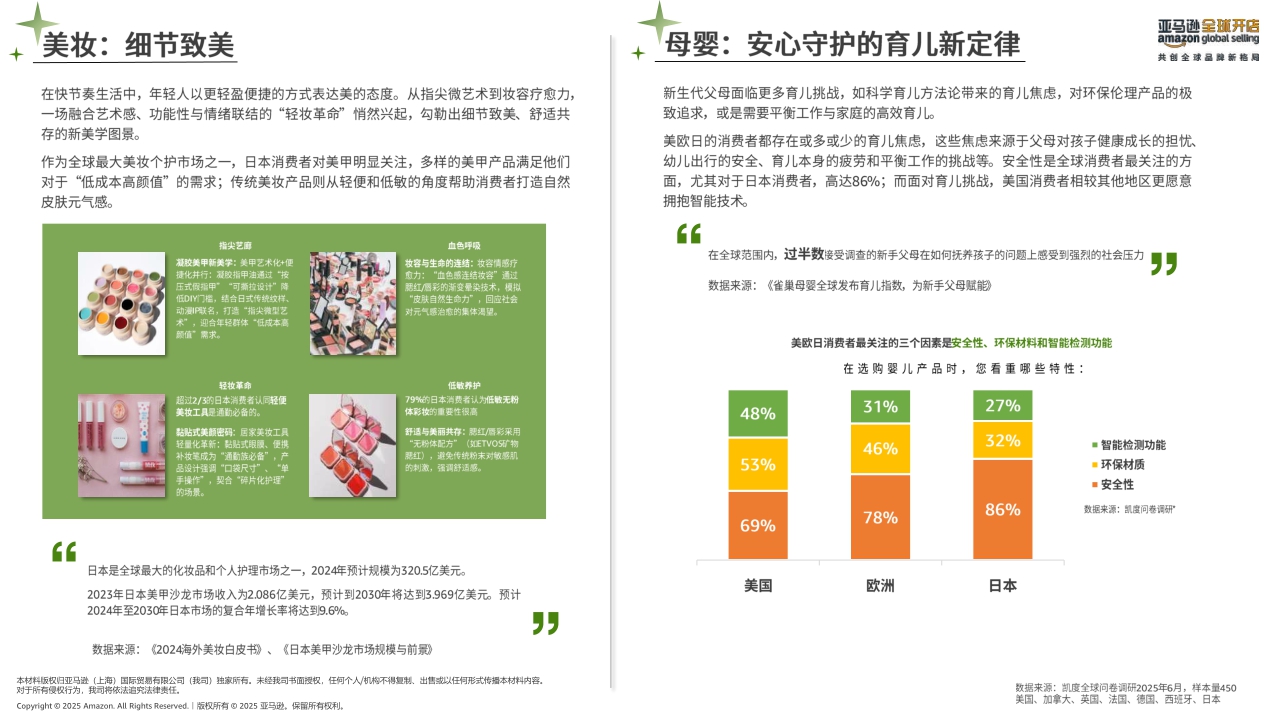 2025年亚马逊消费品类攻略手册-亚马逊全球开店-2025-73页