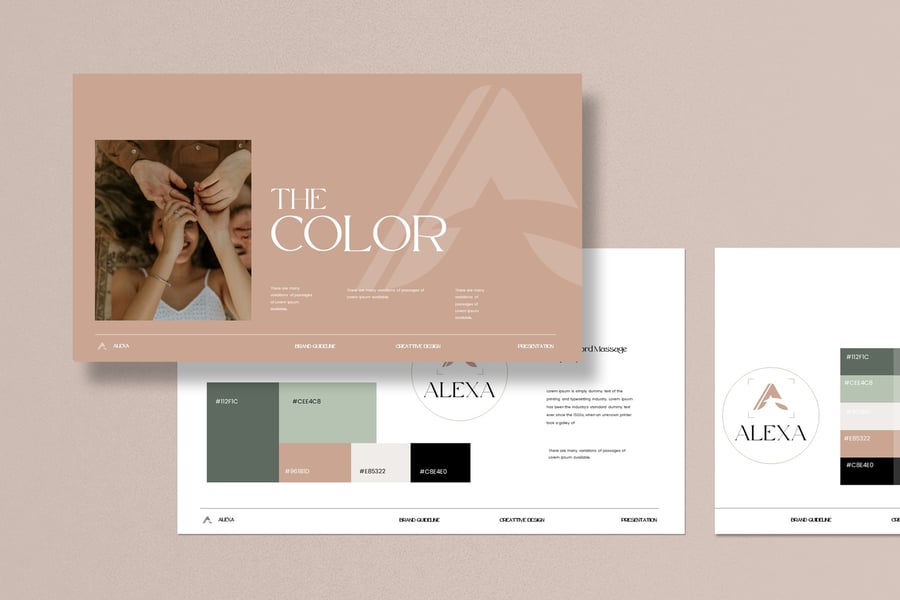 品牌指南演示模板PPT模板 (PPTX)