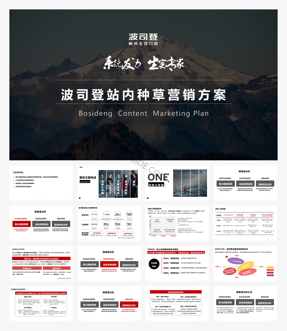 波司登品牌站内种草营销方案.pdf