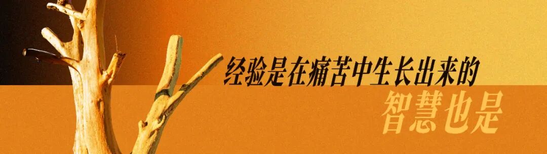 崔璀“优势2026，不惑不惧，自成周期”跨年演讲PPT-115页（PDF）