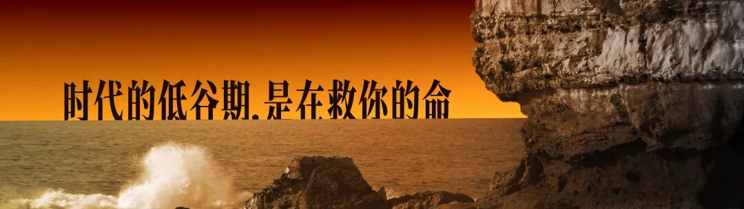 崔璀“优势2026，不惑不惧，自成周期”跨年演讲PPT-115页（PDF）