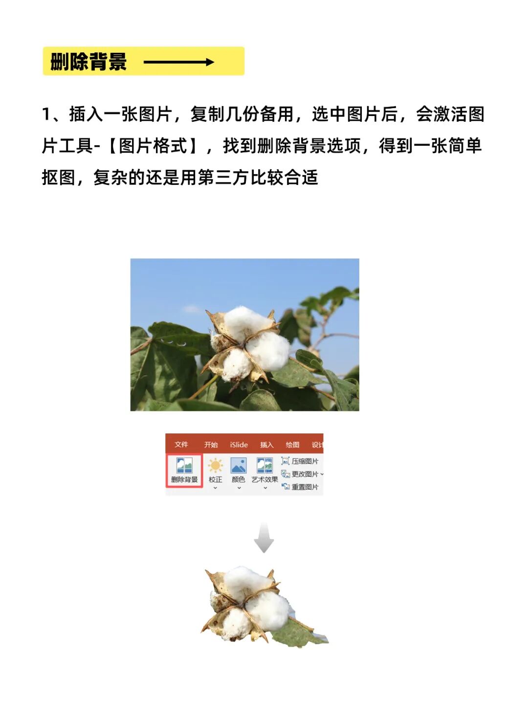 PPT破格图片怎么做？3步搞定！