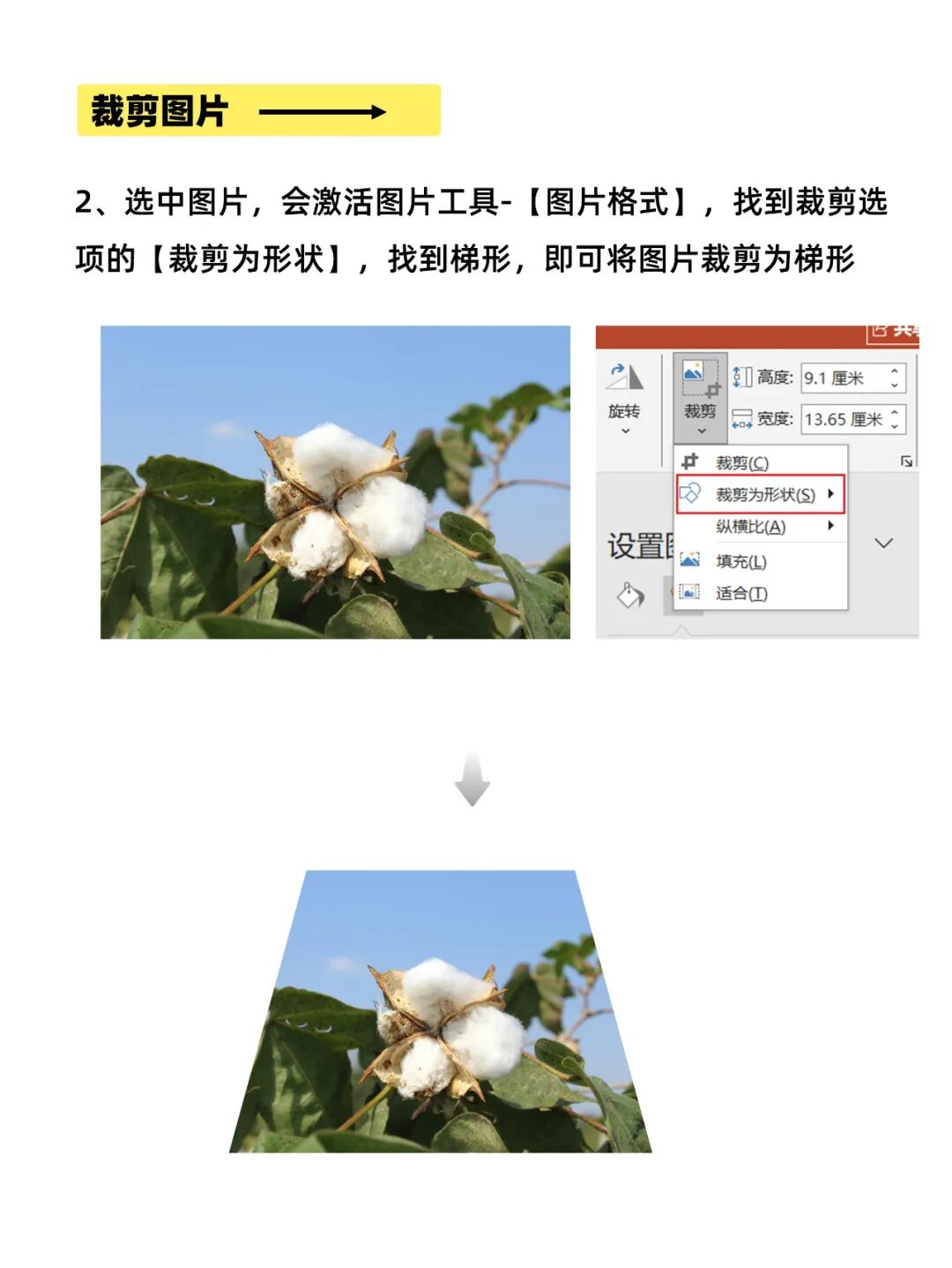 PPT破格图片怎么做？3步搞定！