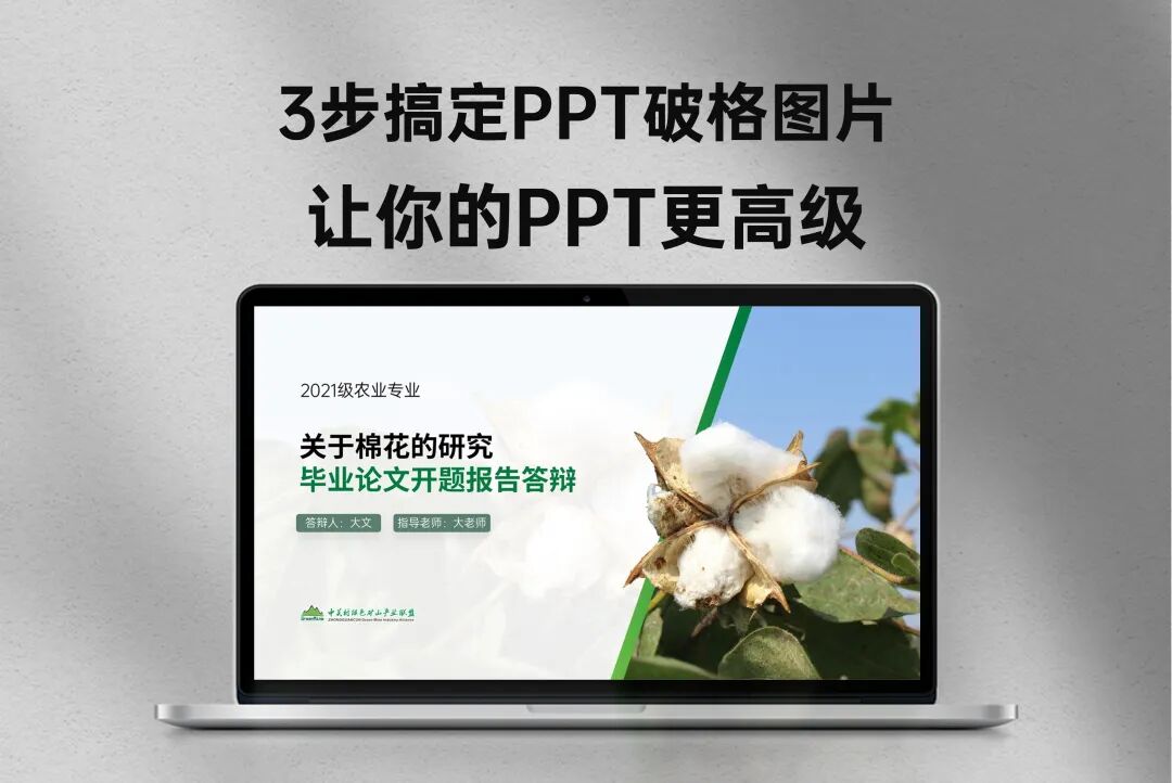 PPT破格图片怎么做？3步搞定！