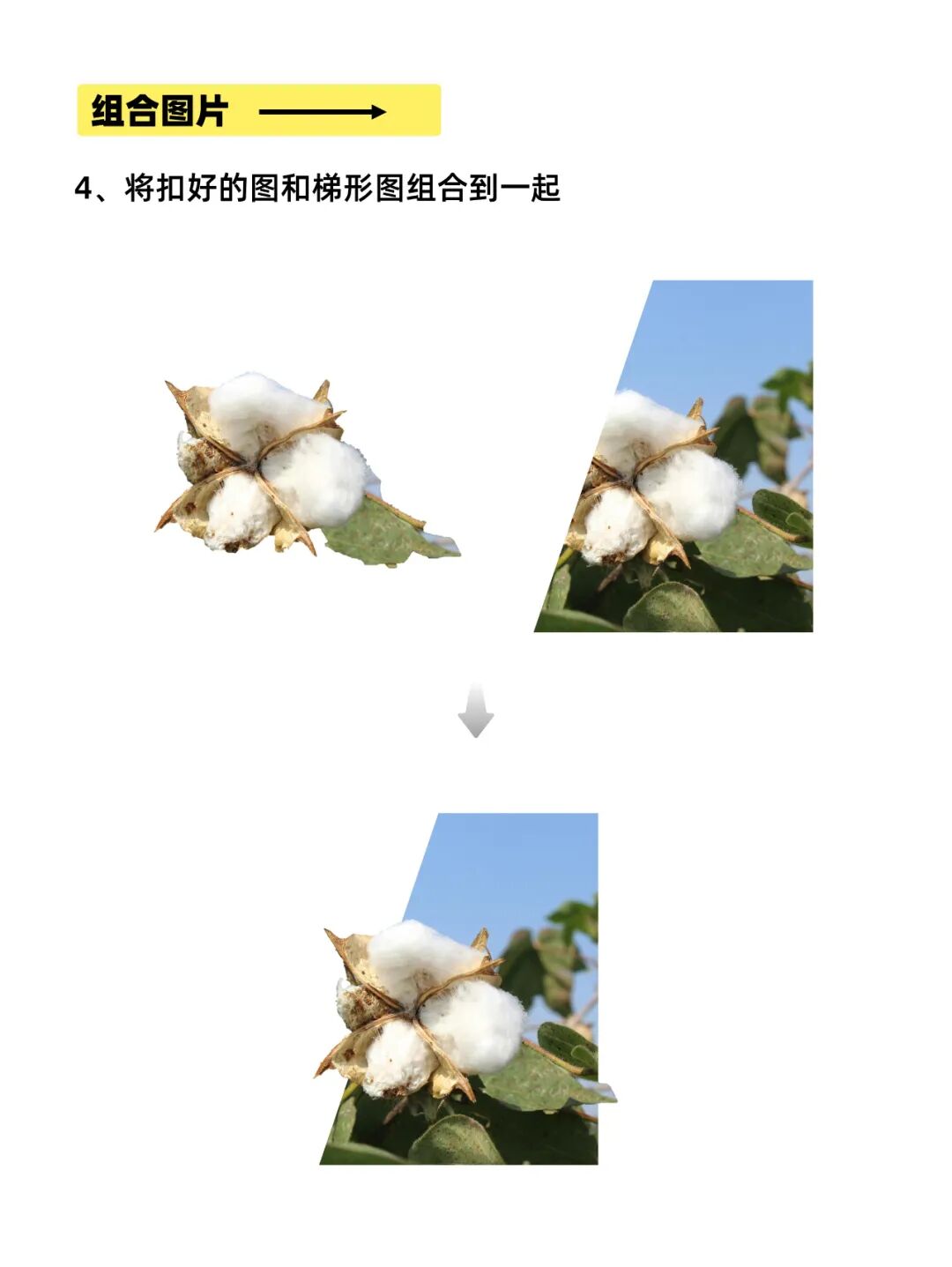 PPT破格图片怎么做？3步搞定！