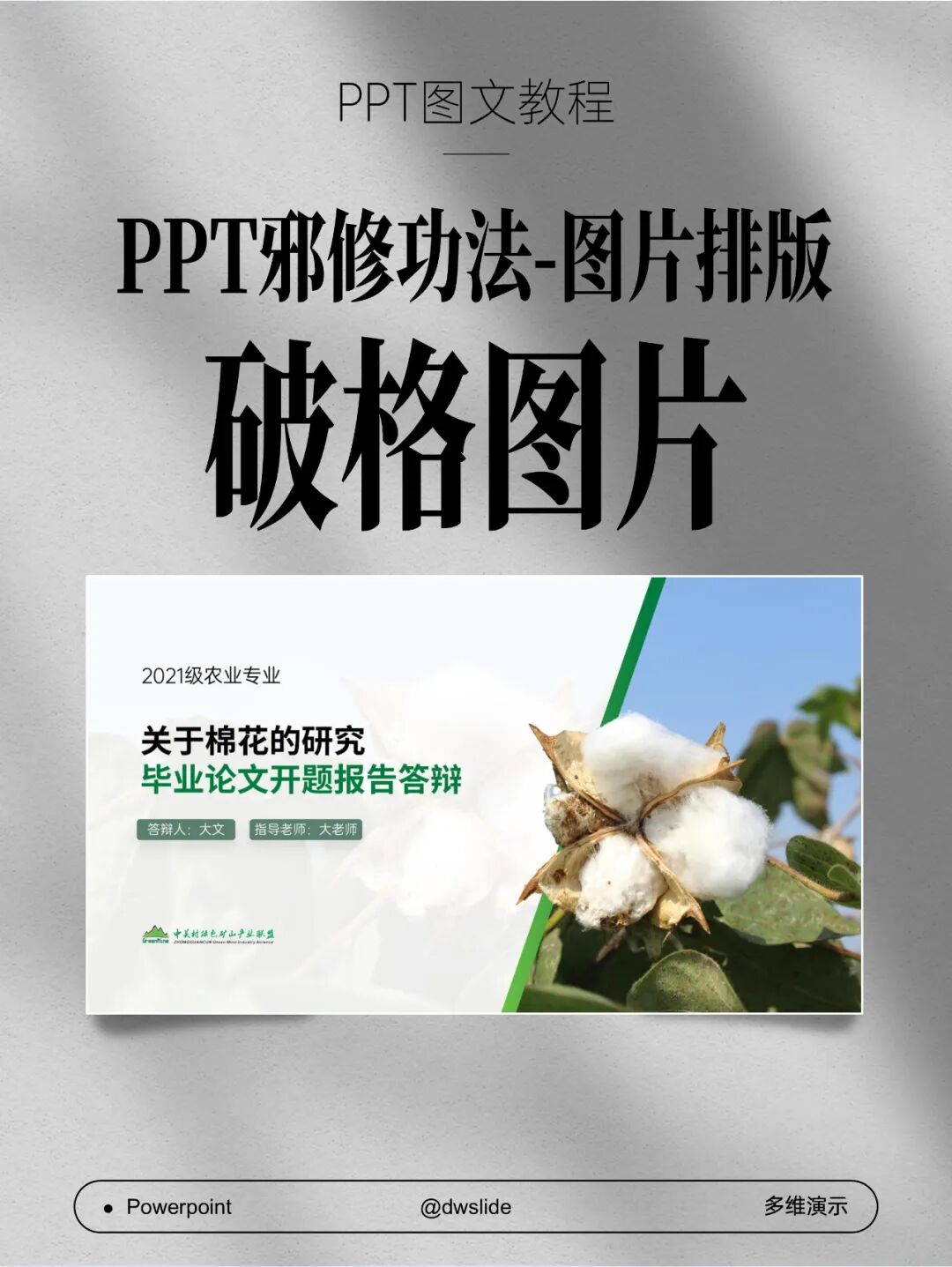PPT破格图片怎么做？3步搞定！