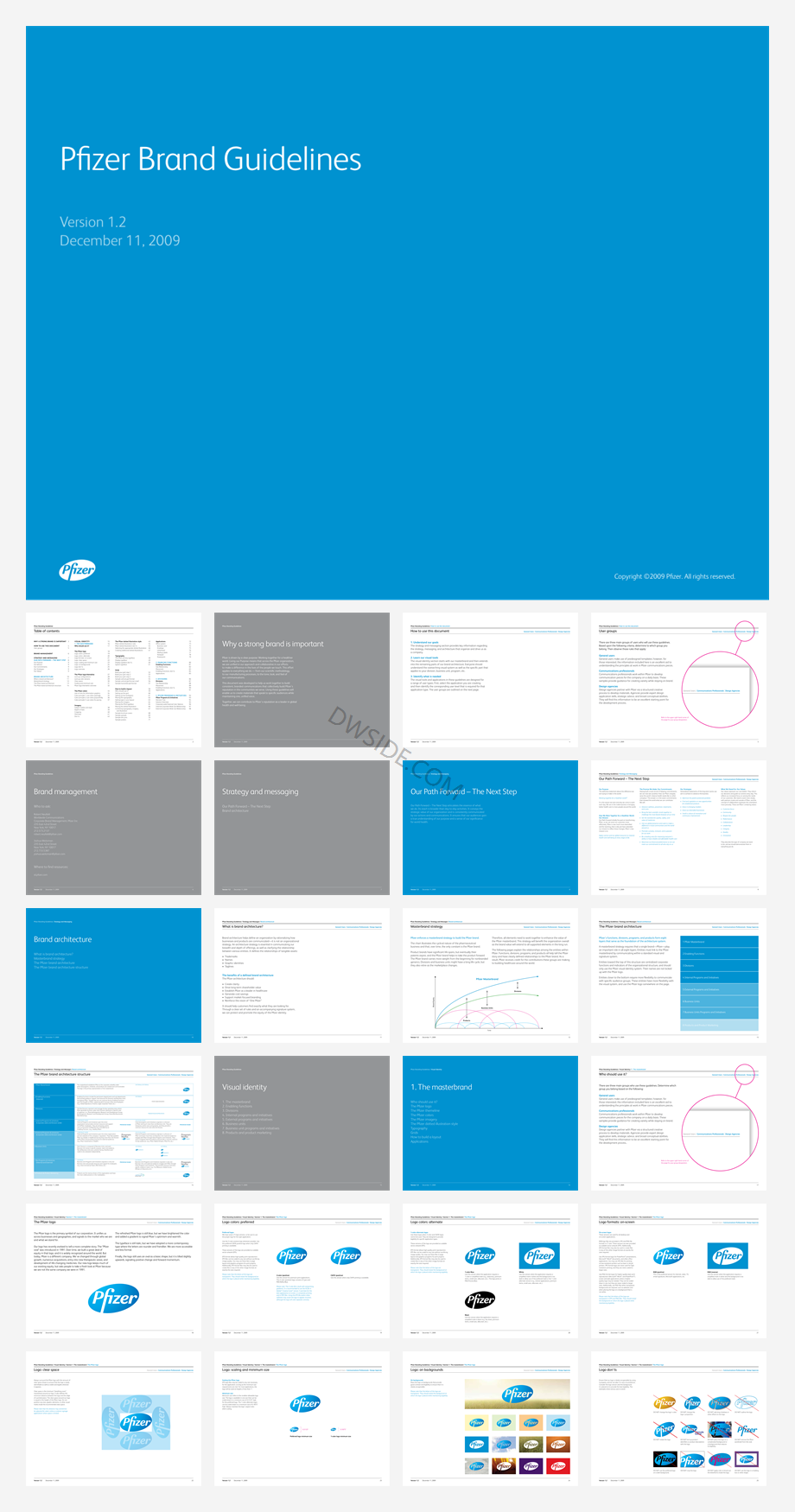 17.PfizerBrandGuidelines品牌VI手册.pdf