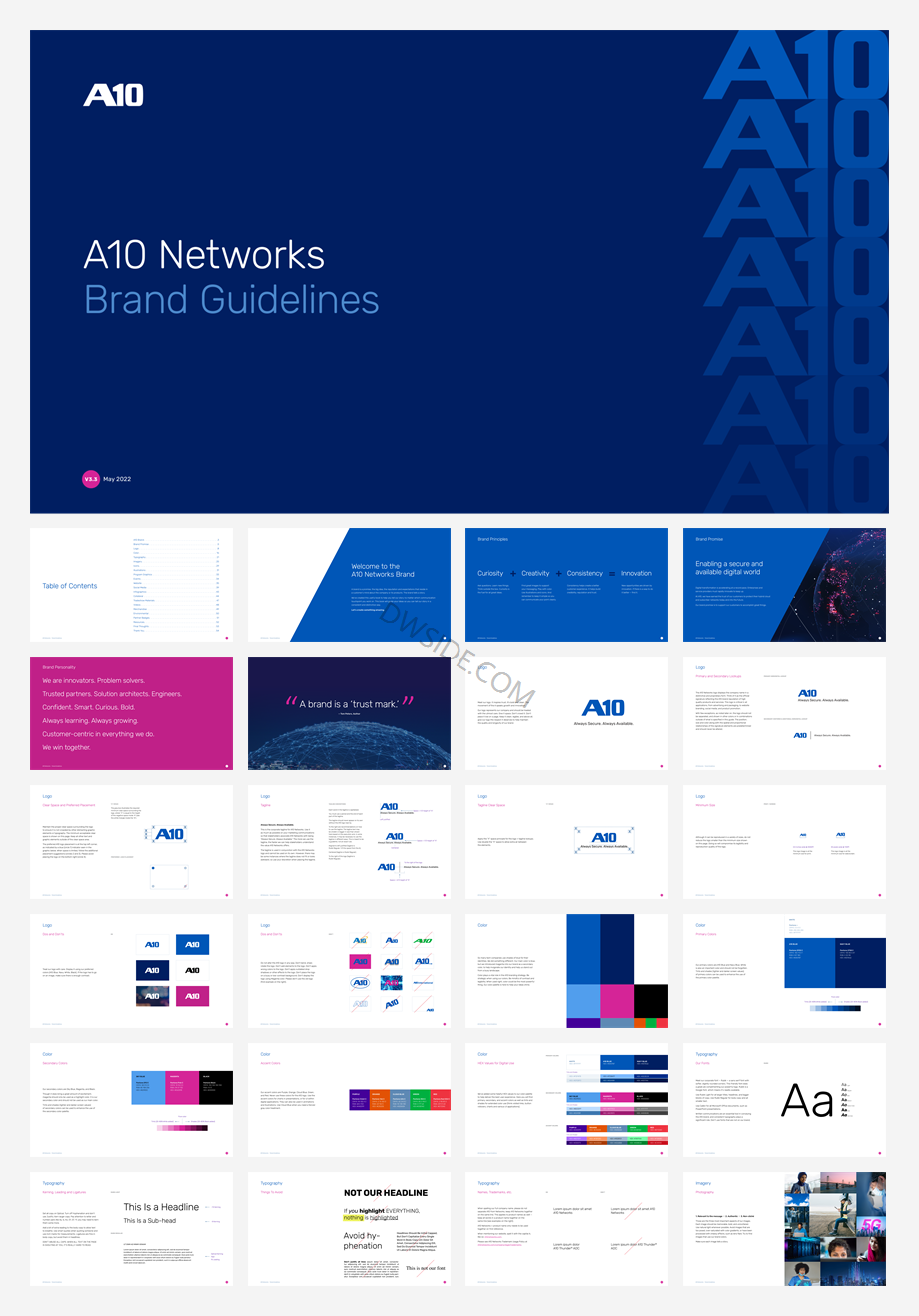 A10-Networks品牌VI手册2022.pdf